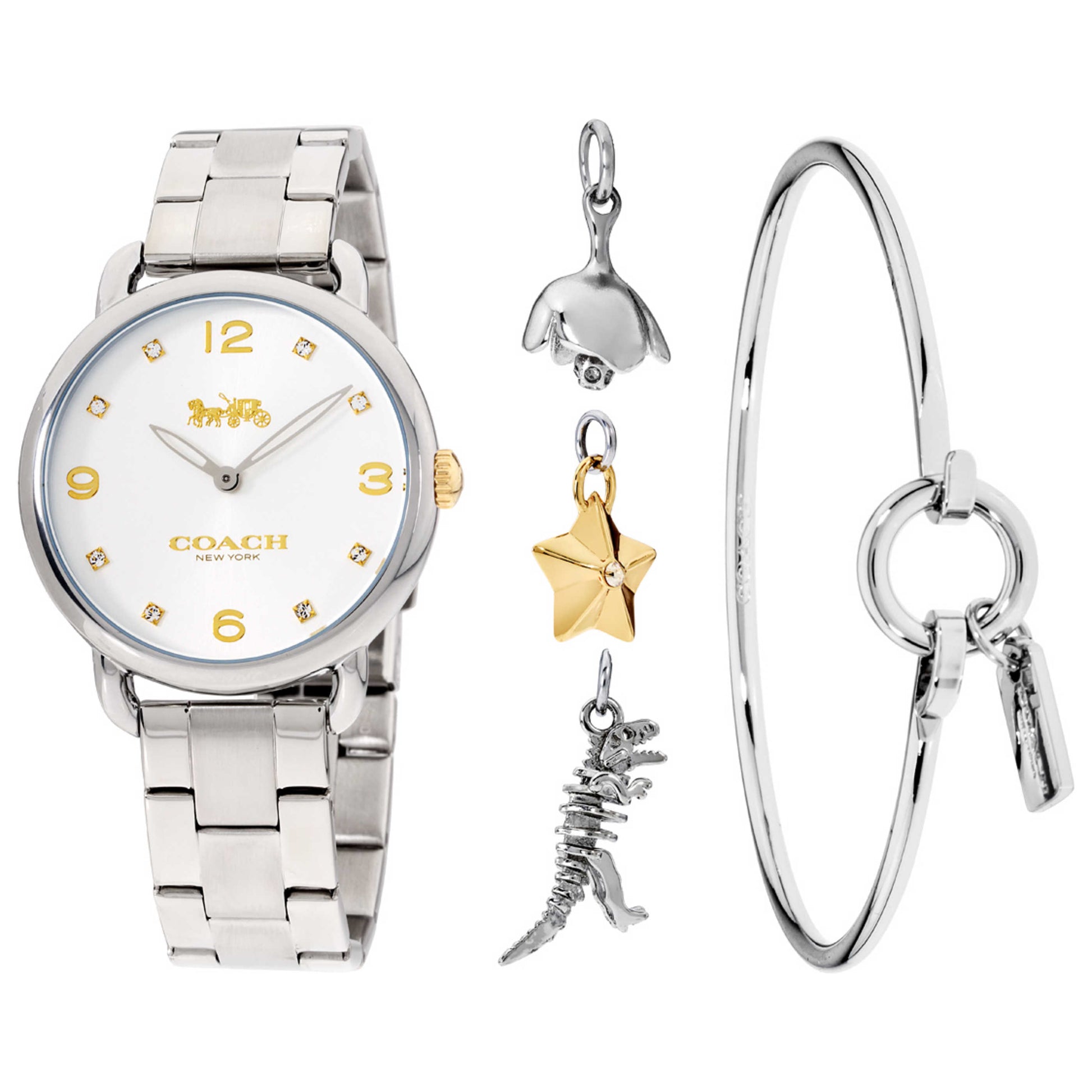 Front view of Coach Delancey Gift Set Women's Quartz Watch 14000056