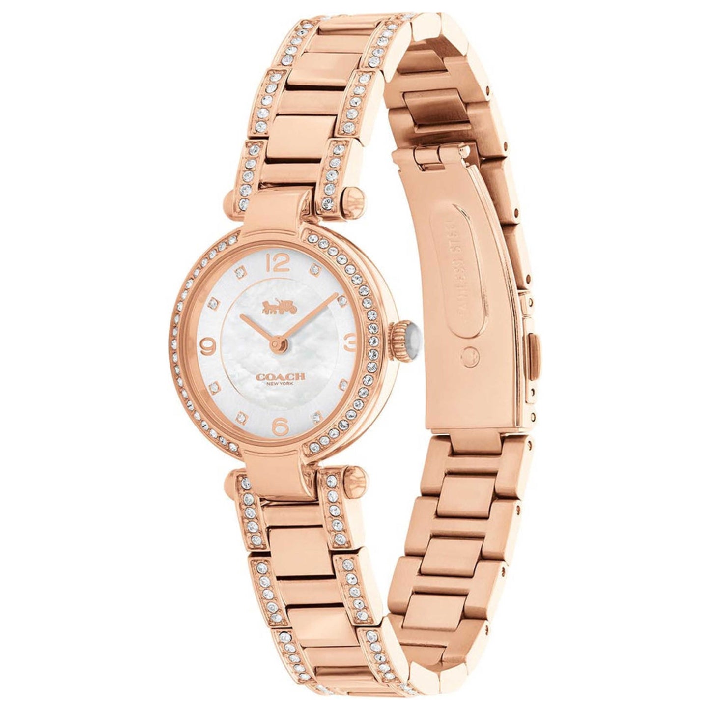 Front view of Coach Cary Women's Quartz Watch 14503838