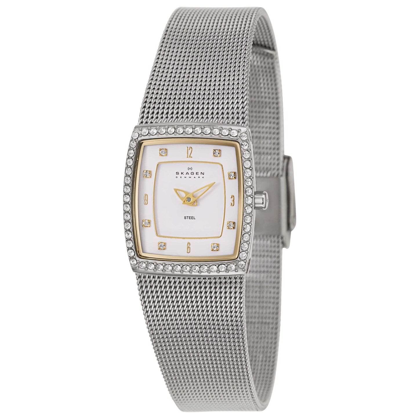 Front view of Skagen Mesh Women's Japanese Quartz (Battery-Powered) Watch 384XSGSW1