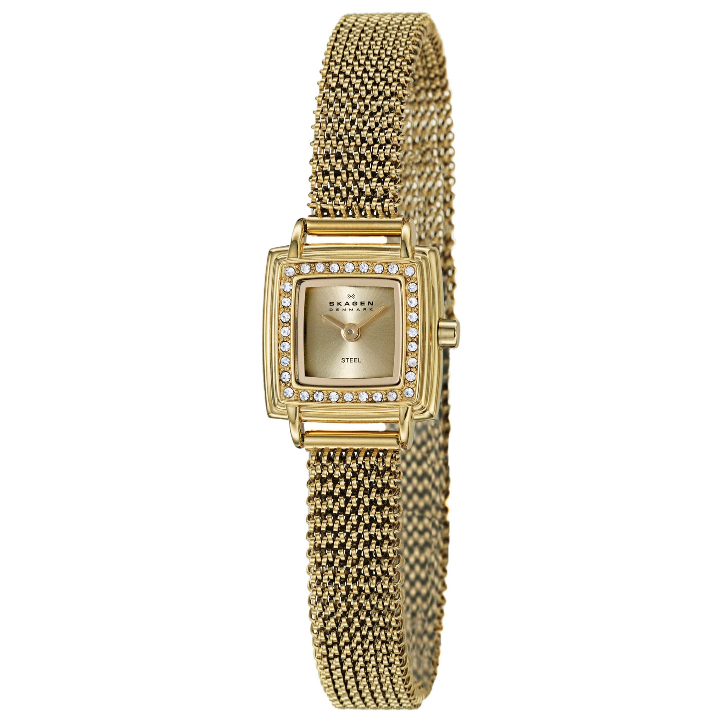 Front view of Skagen Mesh Women's Japanese Quartz (Battery-Powered) Watch 821XSGG1