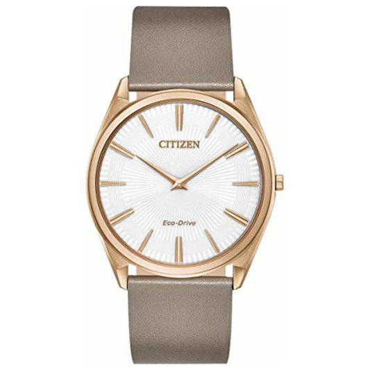 Citizen Women's Quartz Solar Watch AR3076-08A