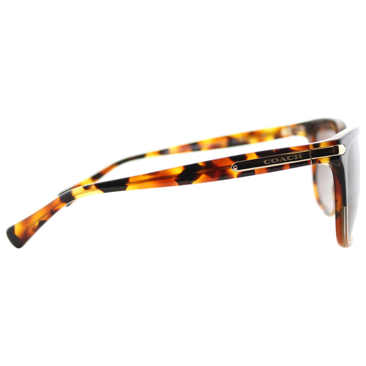 Coach Fashion Women's Sunglasses HC-8132-5438T5 - Image #4