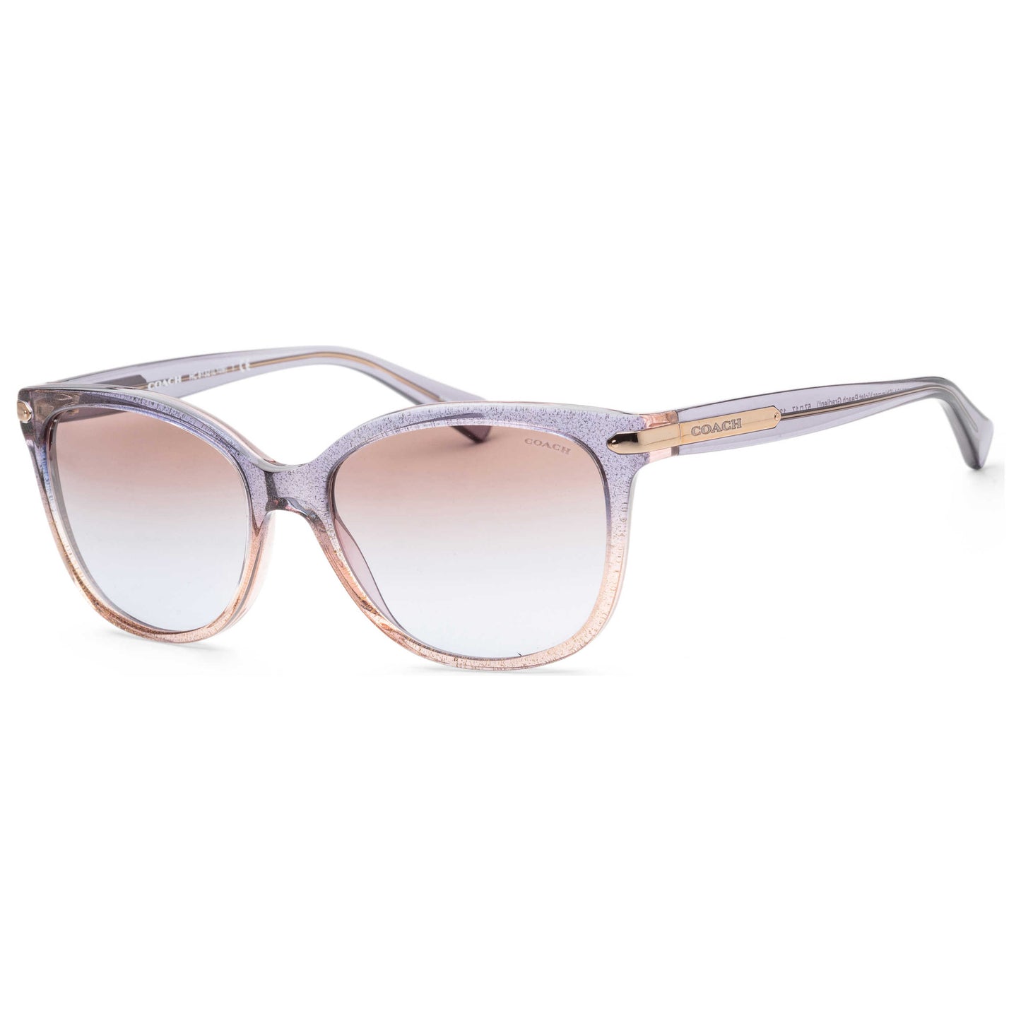 Front view of Coach Fashion Women's Sunglasses HC8132-555494