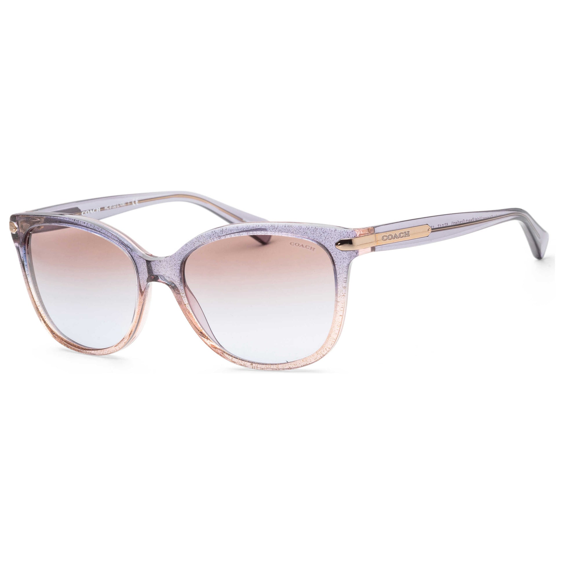 Front view of Coach Fashion Women's Sunglasses HC8132-555494