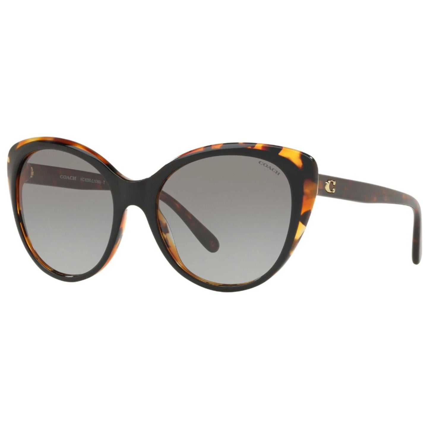 Front view of Coach Fashion Women's Sunglasses HC8260F-54461155