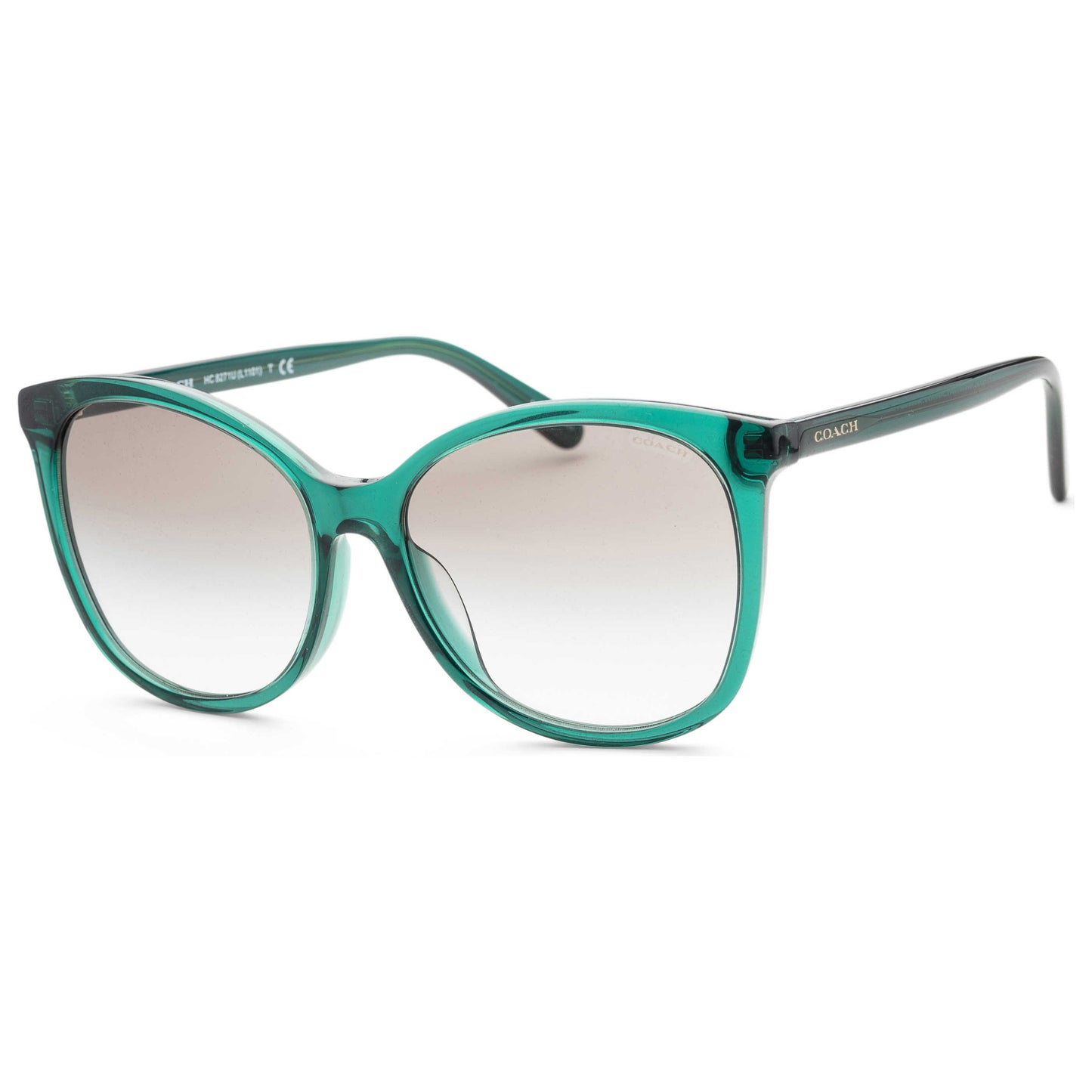 Front view of Coach Fashion Women's Sunglasses HC8271U-56618E-57