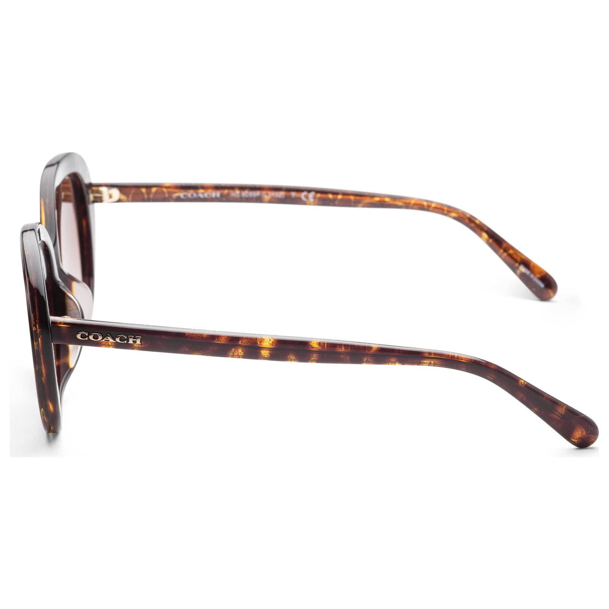 Left view of Coach Fashion Women's Sunglasses HC8289F-558313-55