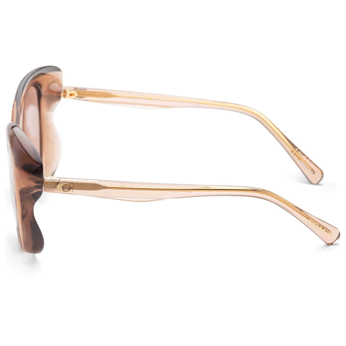 Left view of Coach Fashion Women's Sunglasses HC8307U-503973-55
