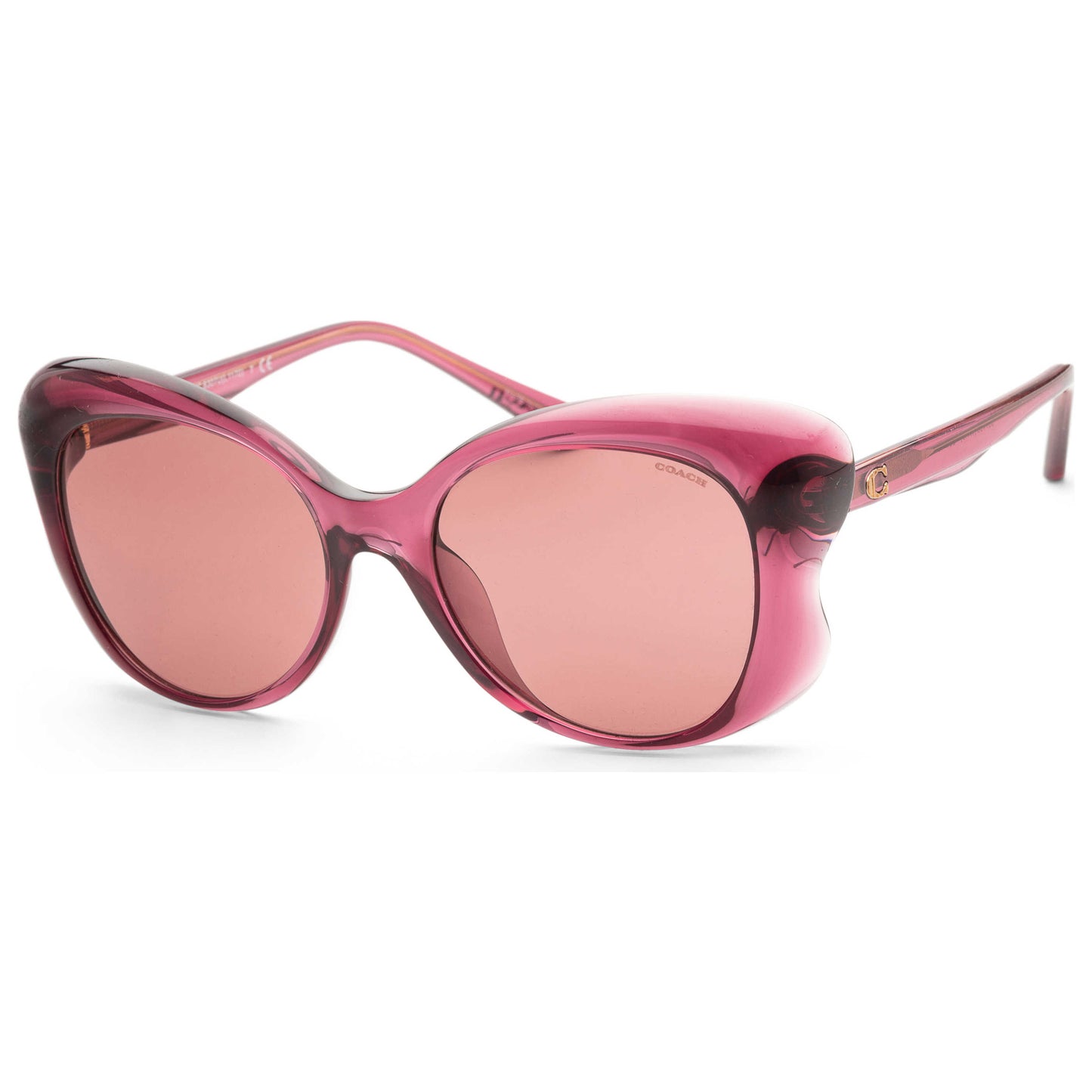 Front view of Coach Fashion Women's Sunglasses HC8307U-557469-55