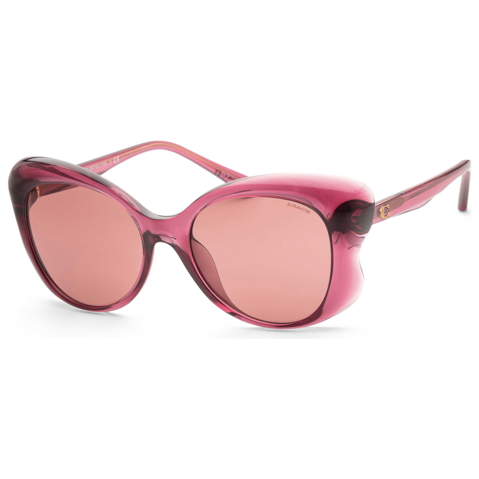 Front view of Coach Fashion Women's Sunglasses HC8307U-557469-55