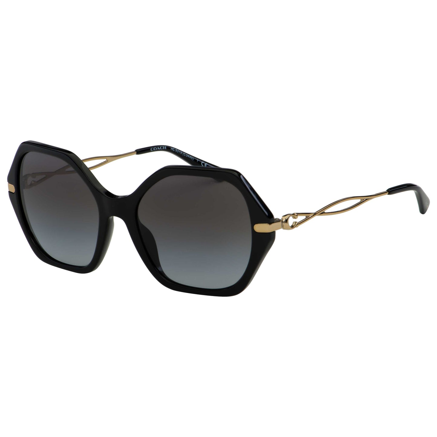 Front view of Coach Fashion Unisex Sunglasses HC8315-50028G-57