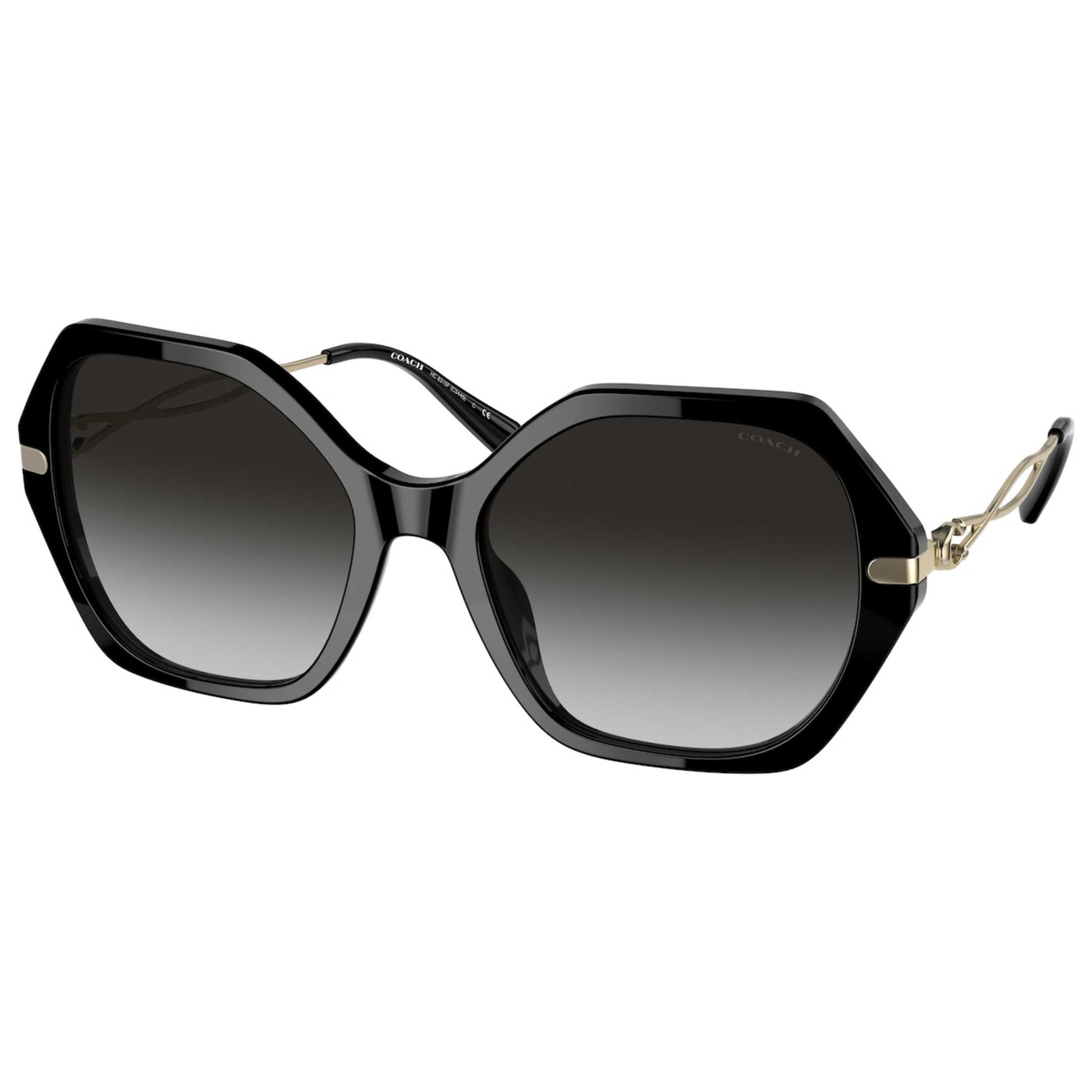 Front view of Coach Fashion Women's Sunglasses HC8315F-50028G