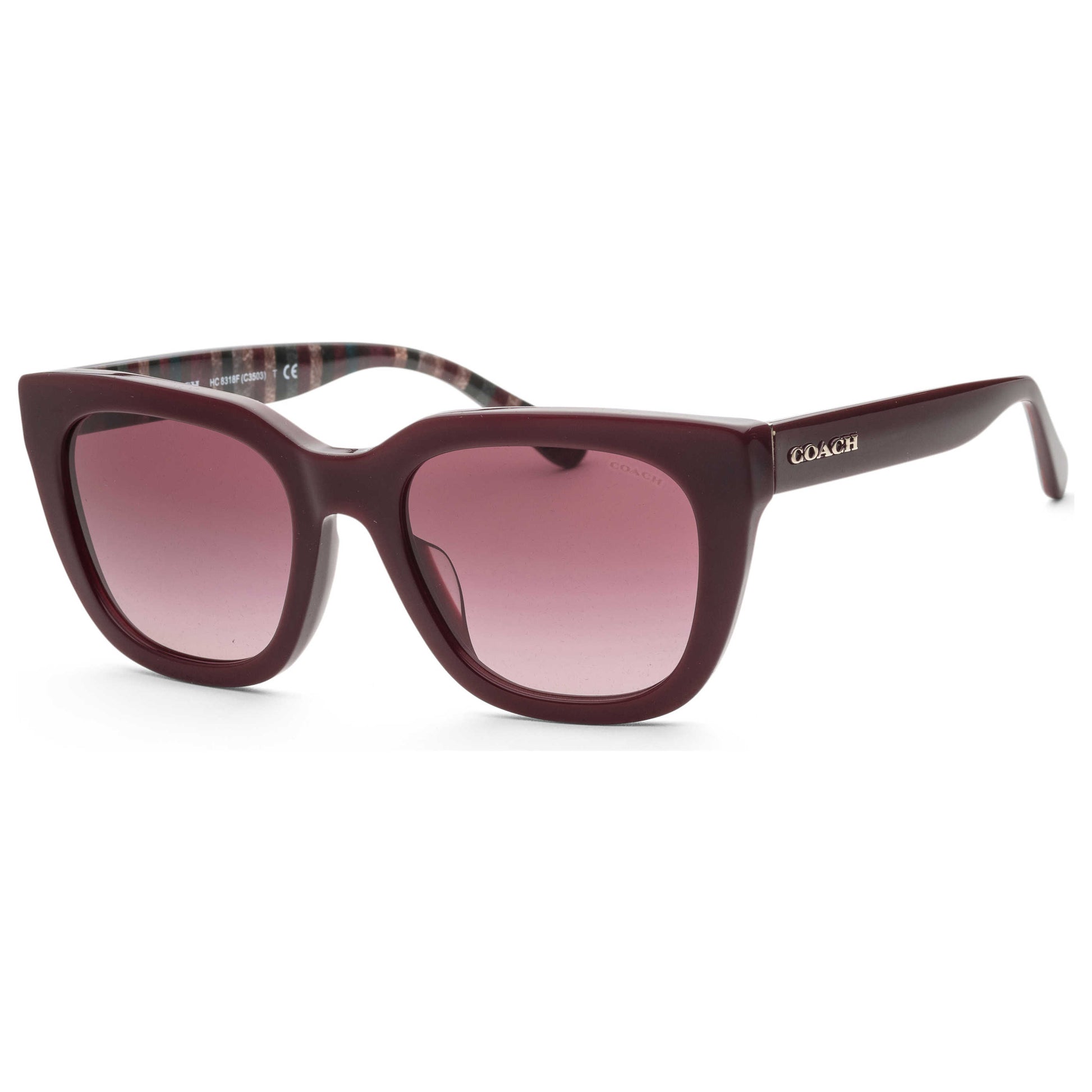 Front view of Coach Fashion Women's Sunglasses HC8318F-54798H-54