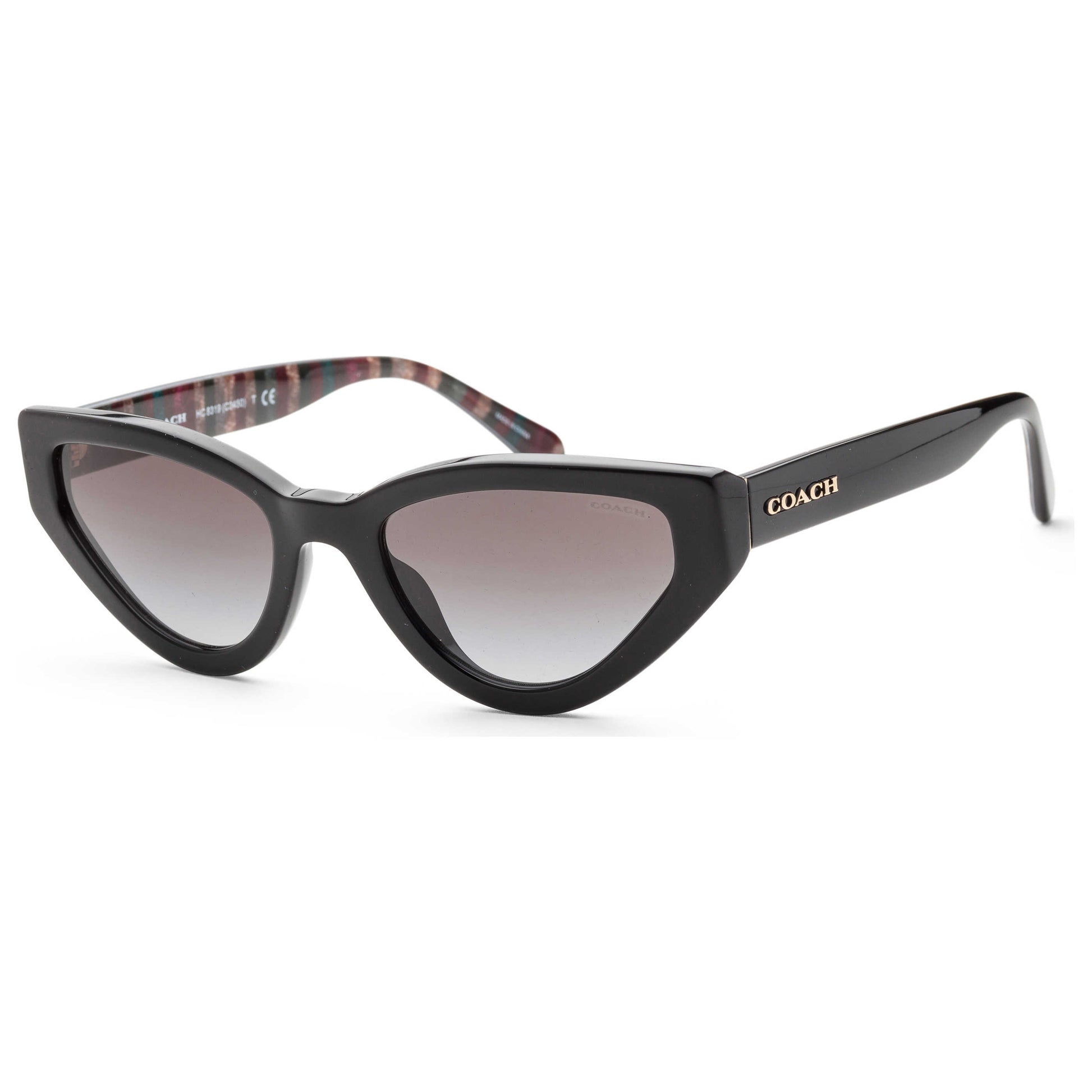 Front view of Coach Fashion Women's Sunglasses HC8319-50028G-52