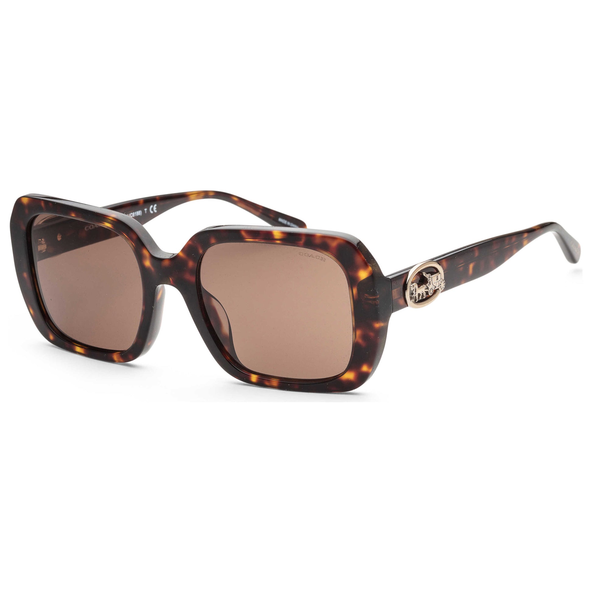 Front view of Coach Fashion Women's Sunglasses HC8329U-512073-53