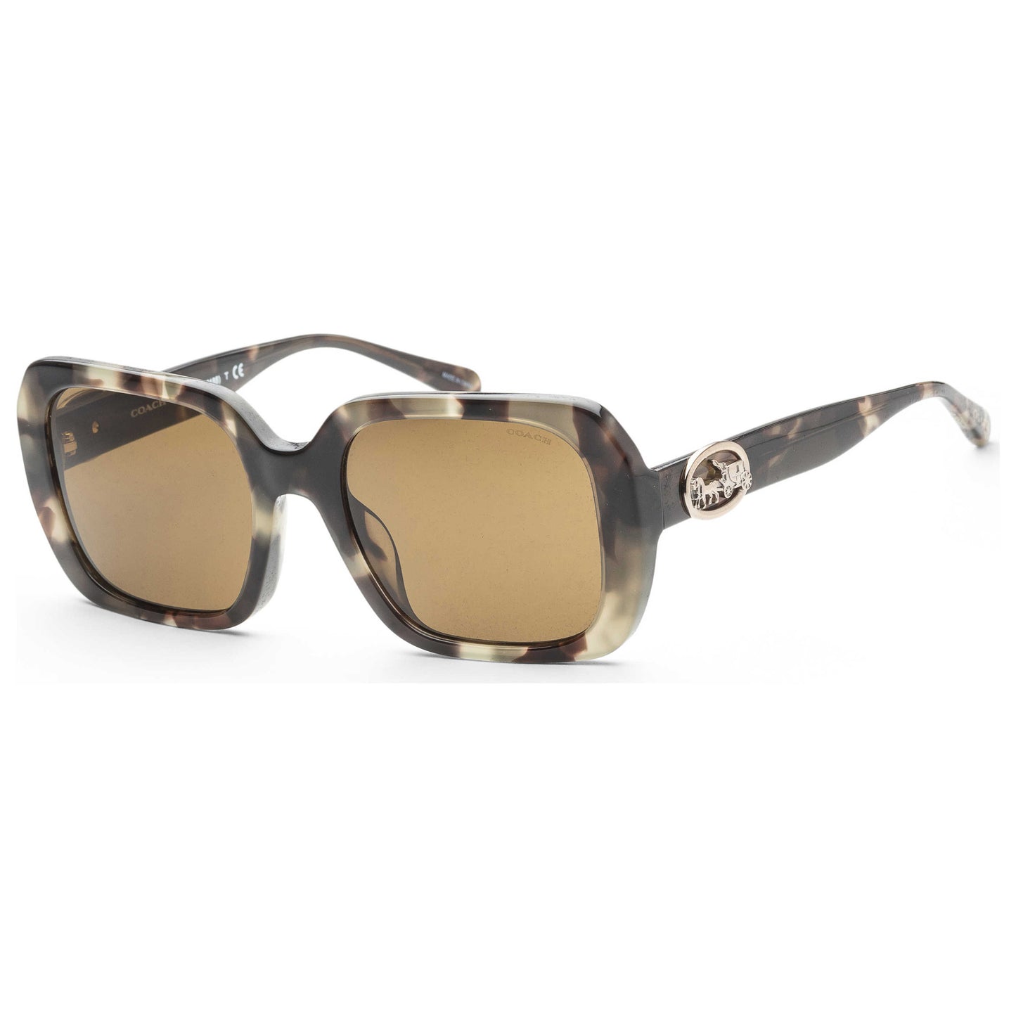 Front view of Coach Fashion Women's Sunglasses HC8329U-559273