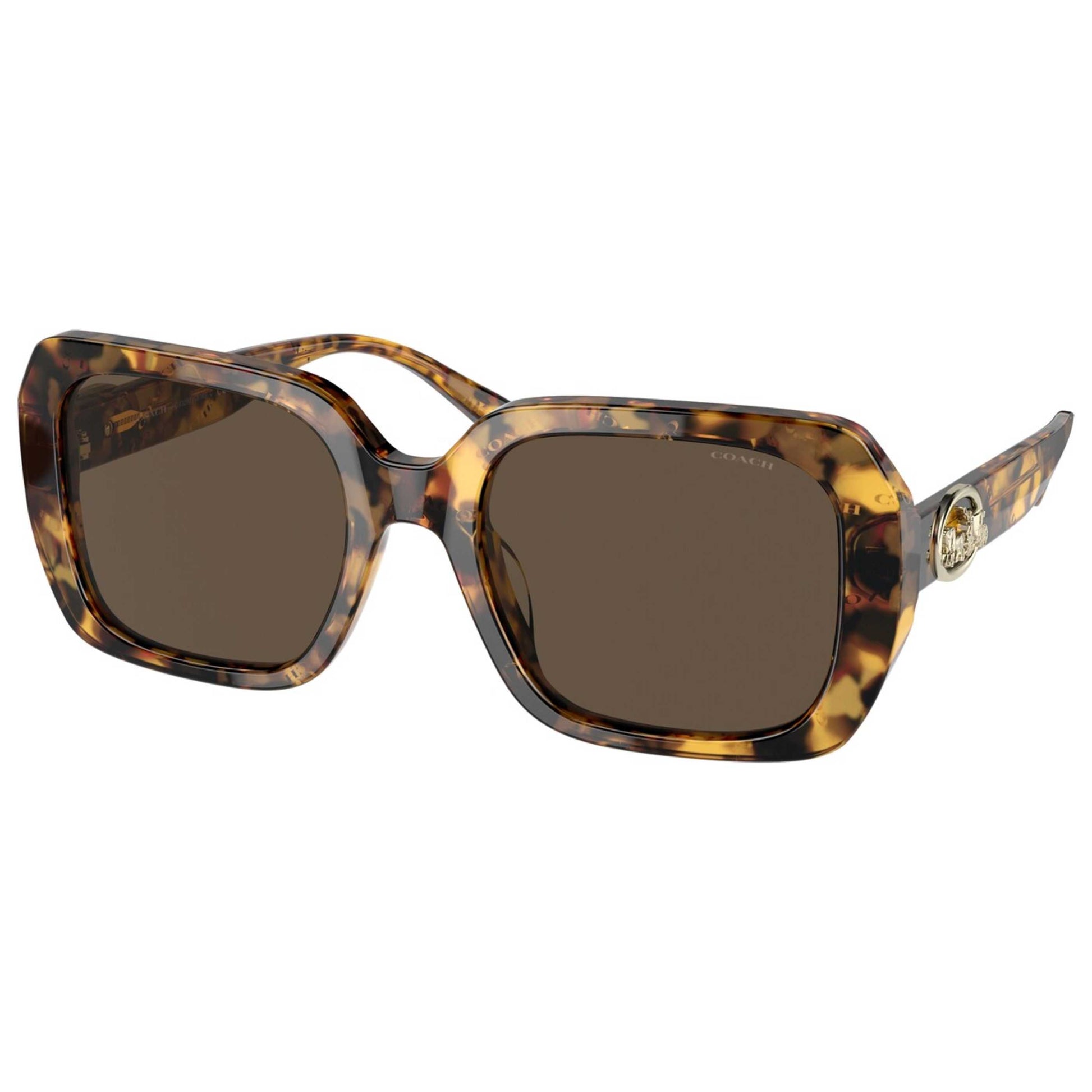 Front view of Coach Fashion Women's Sunglasses HC8329U-565973