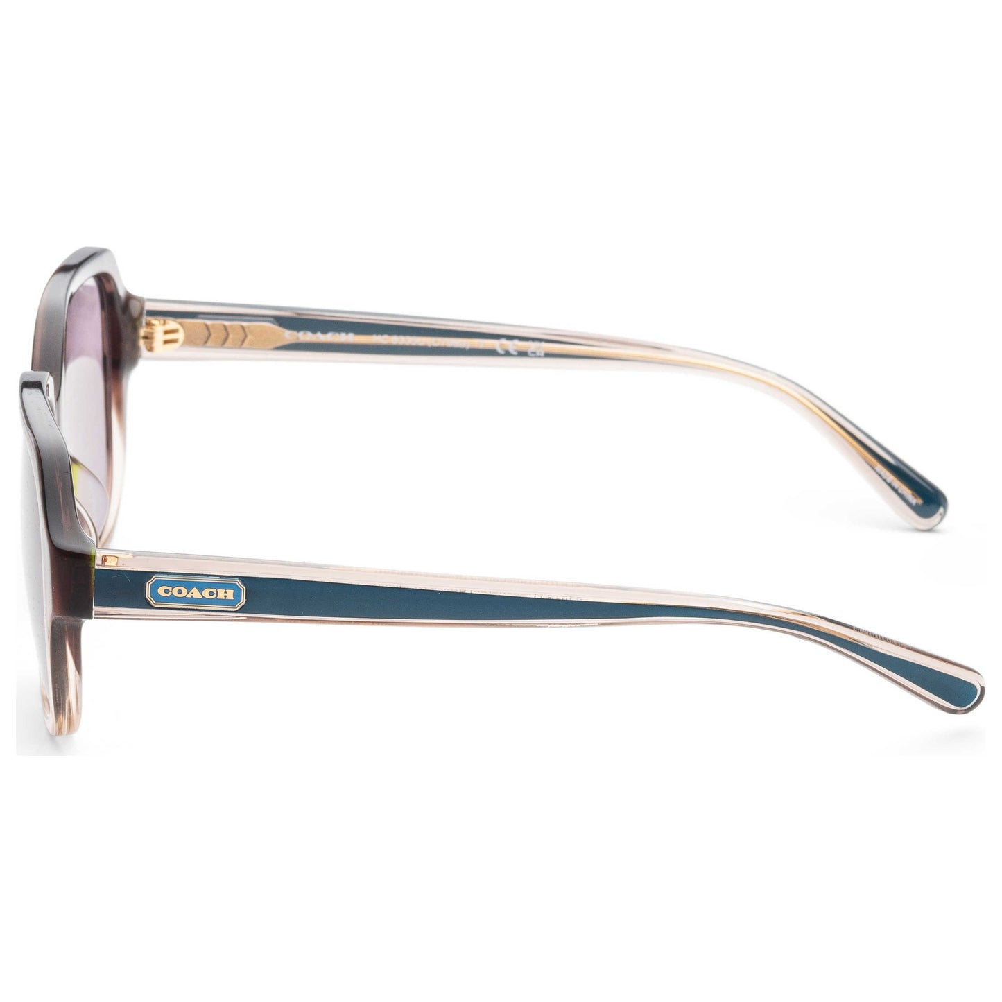 Left view of Coach Fashion Women's Sunglasses HC8335U-56781A