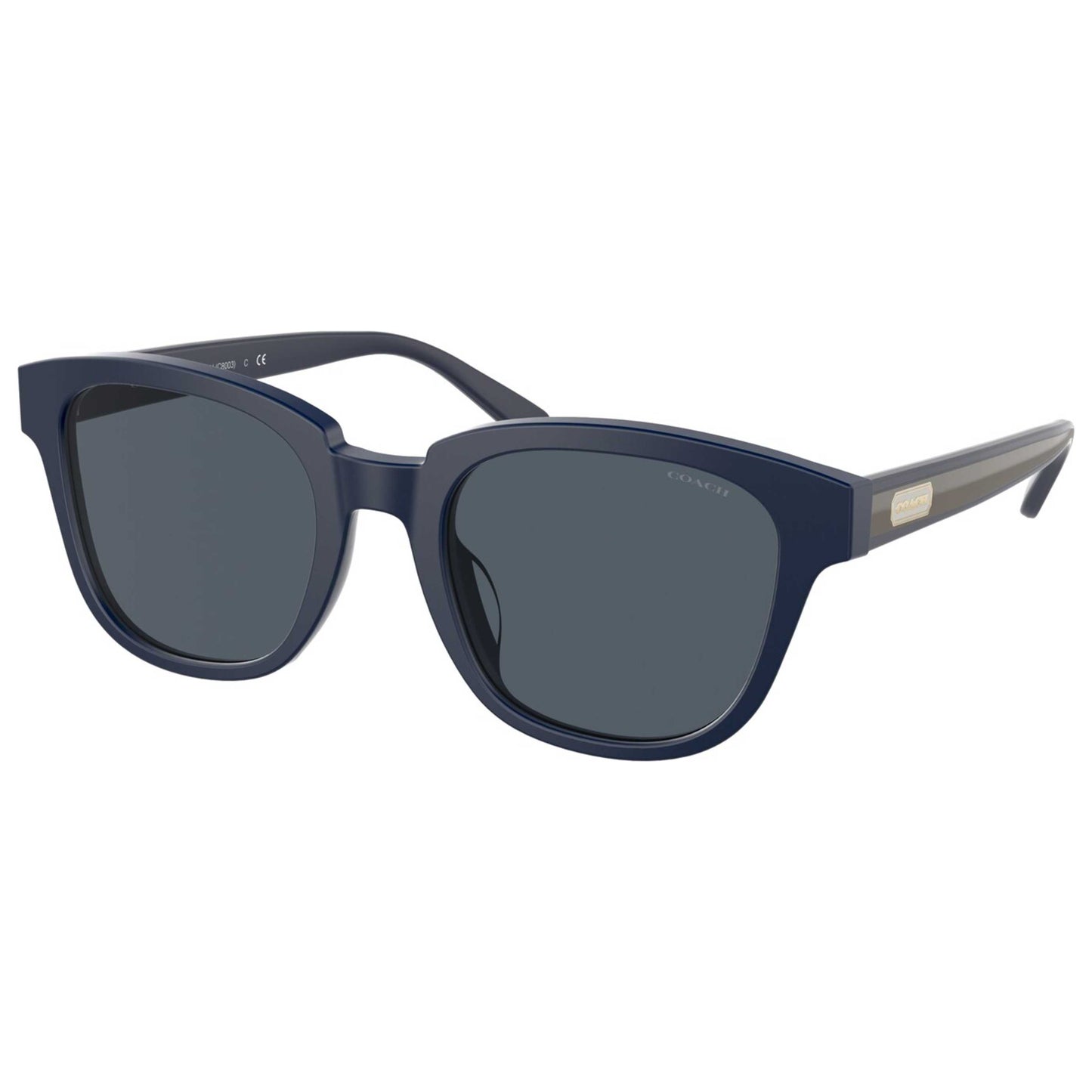 Front view of Coach Fashion Men's Sunglasses HC8340U-563287