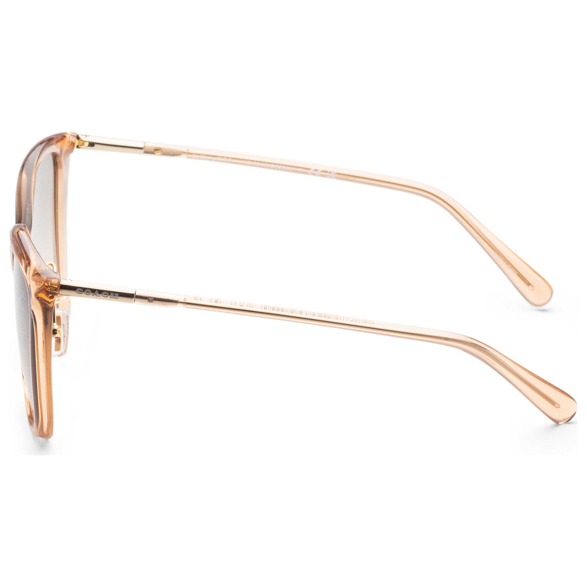 Left view of Coach Fashion Women's Sunglasses HC8345-55619L