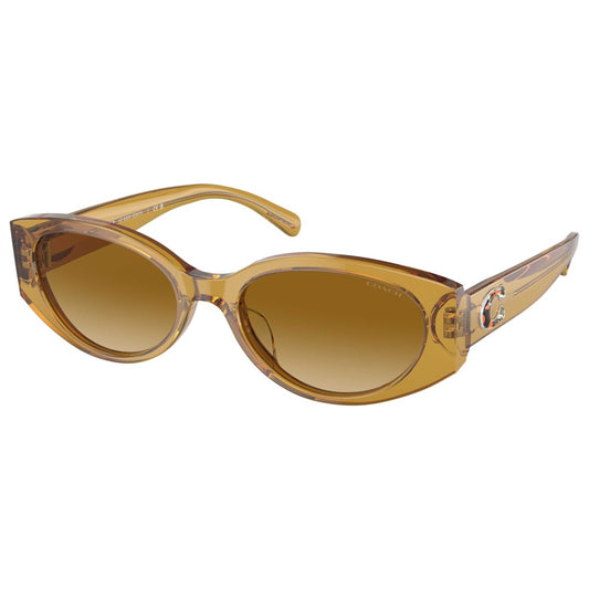 Front view of Coach Fashion Women's Sunglasses HC8353F-57152L-57