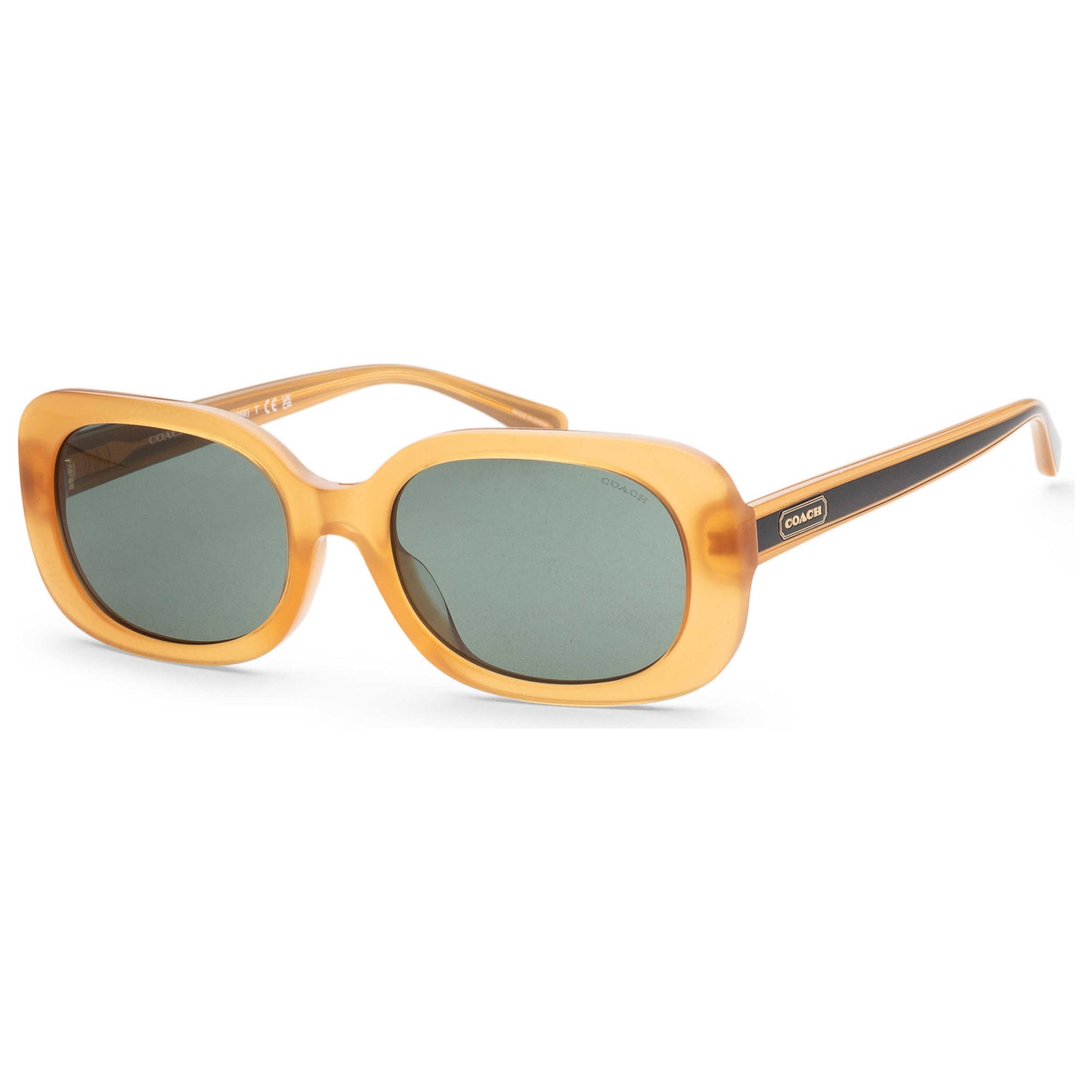 Front view of Coach Fashion Women's Sunglasses HC8358F-571282