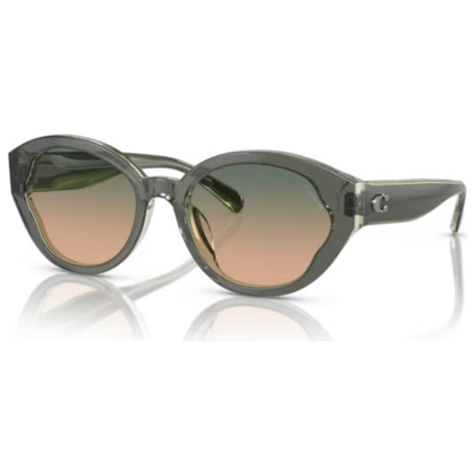 Front view of Coach Fashion Women's Sunglasses HC8364U-574613-55