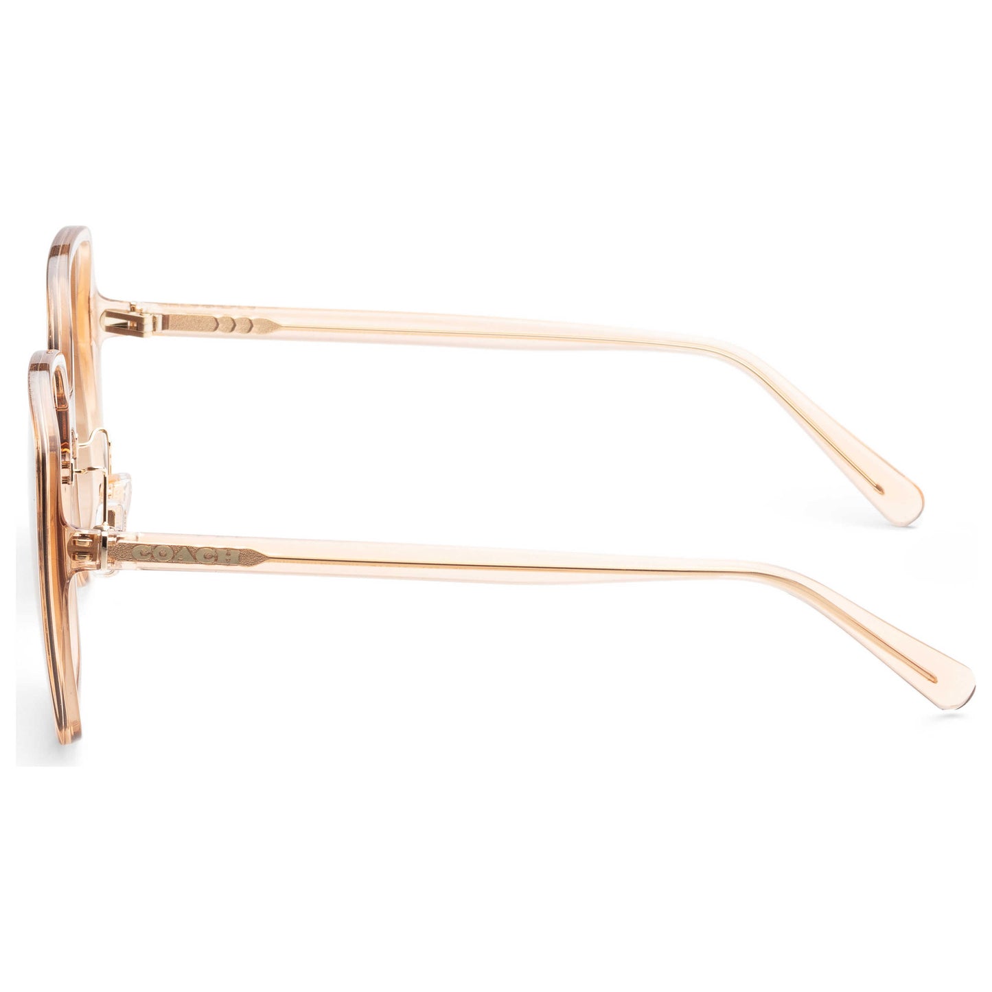 Left view of Coach Fashion Women's Sunglasses HC8368D-556174-61