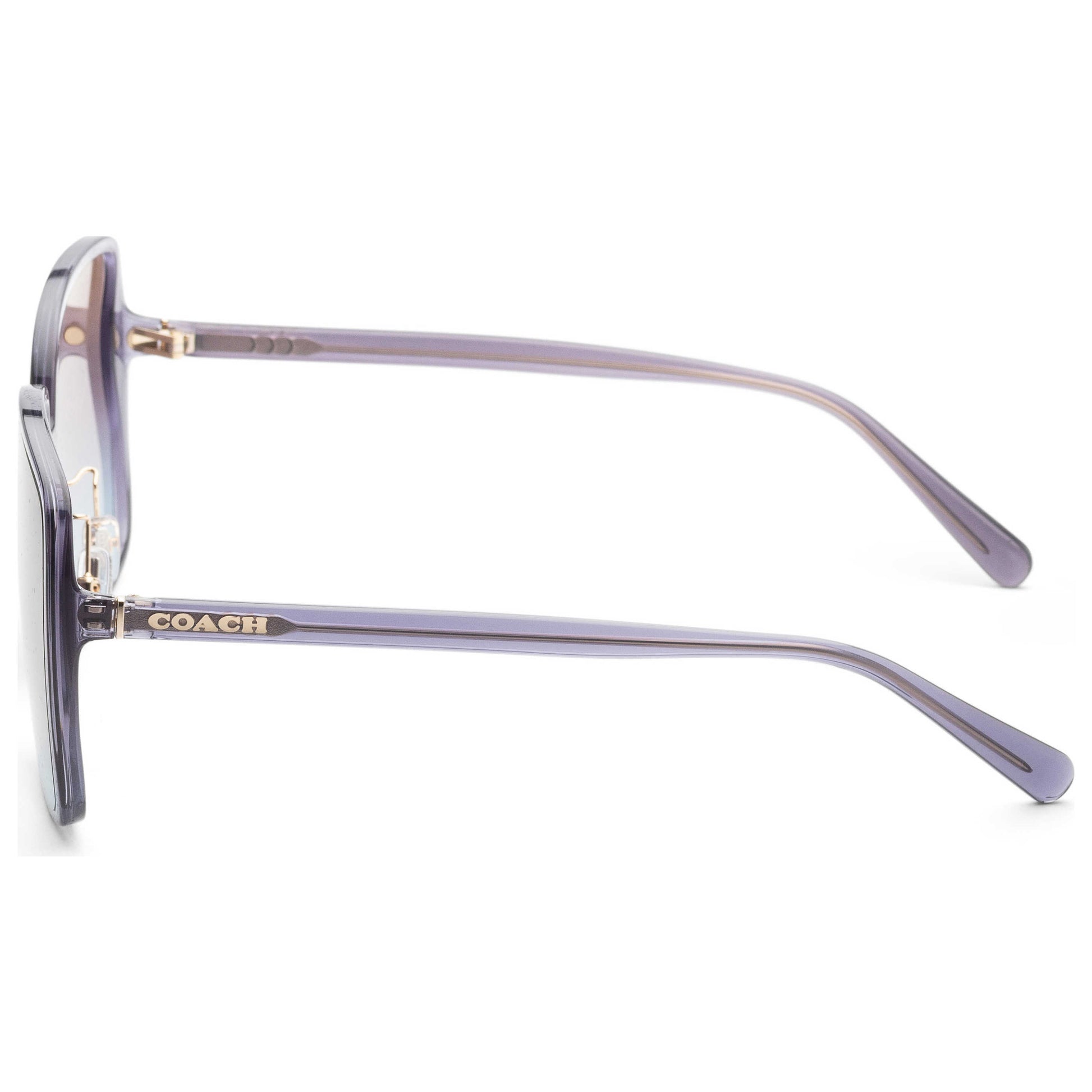 Left view of Coach Fashion Women's Sunglasses HC8368D-575348-61