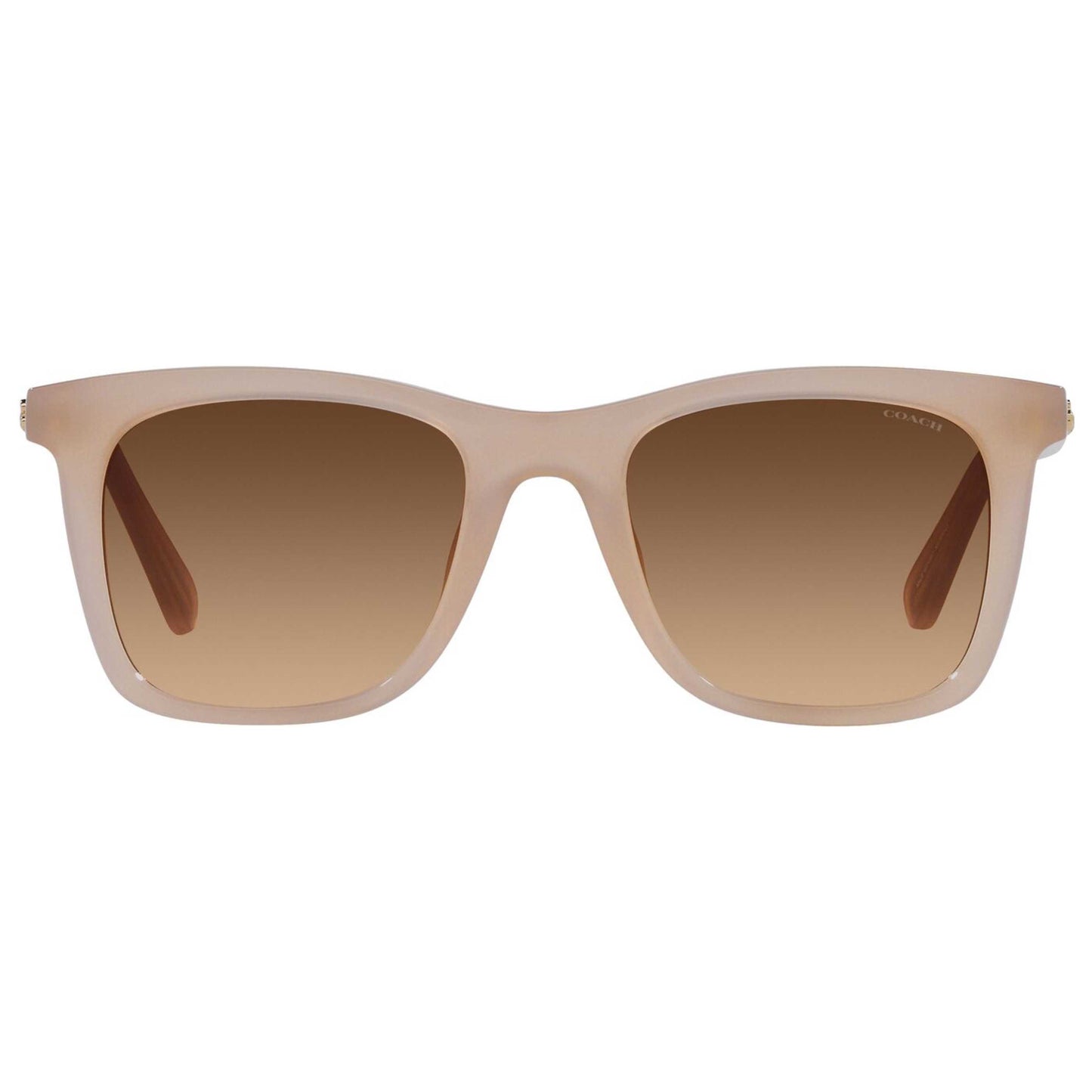 Back view of Coach Fashion Women's Sunglasses HC8374U-574774-51