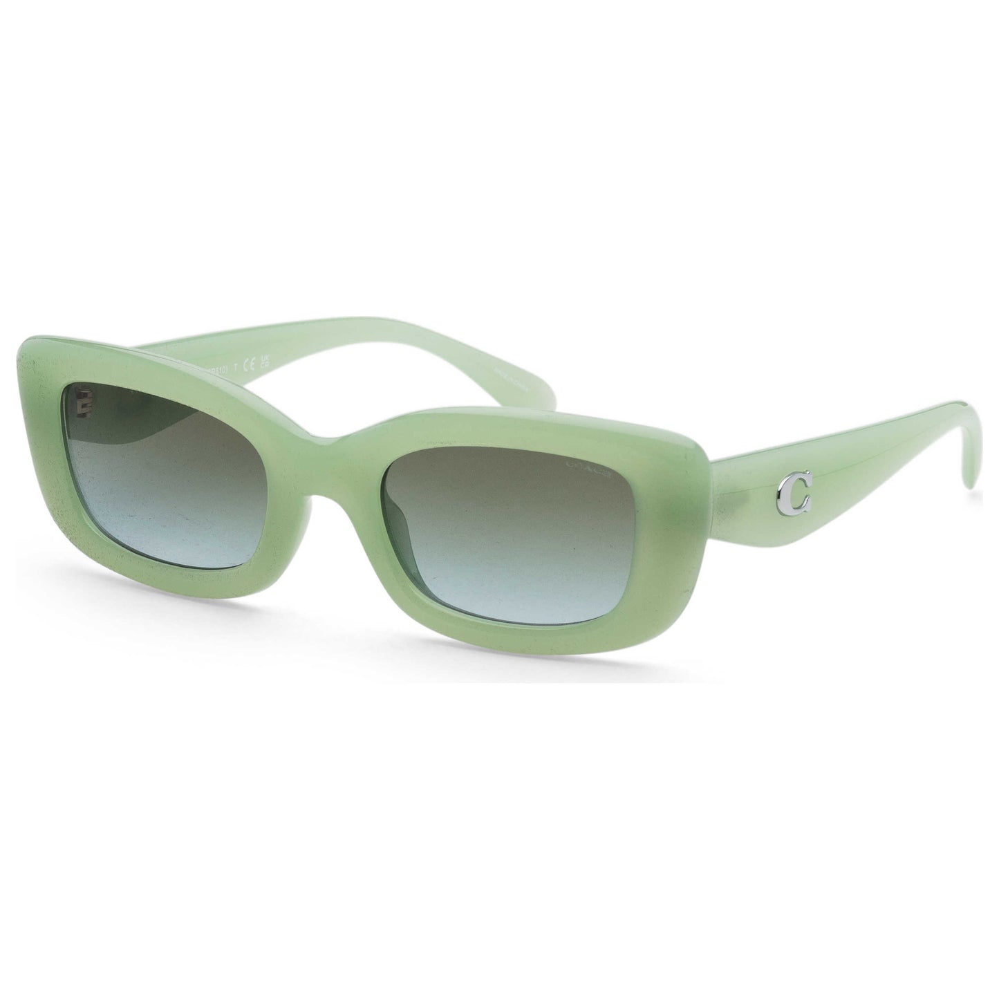 Front view of Coach Women's Sunglasses HC8390U-5807I7-51