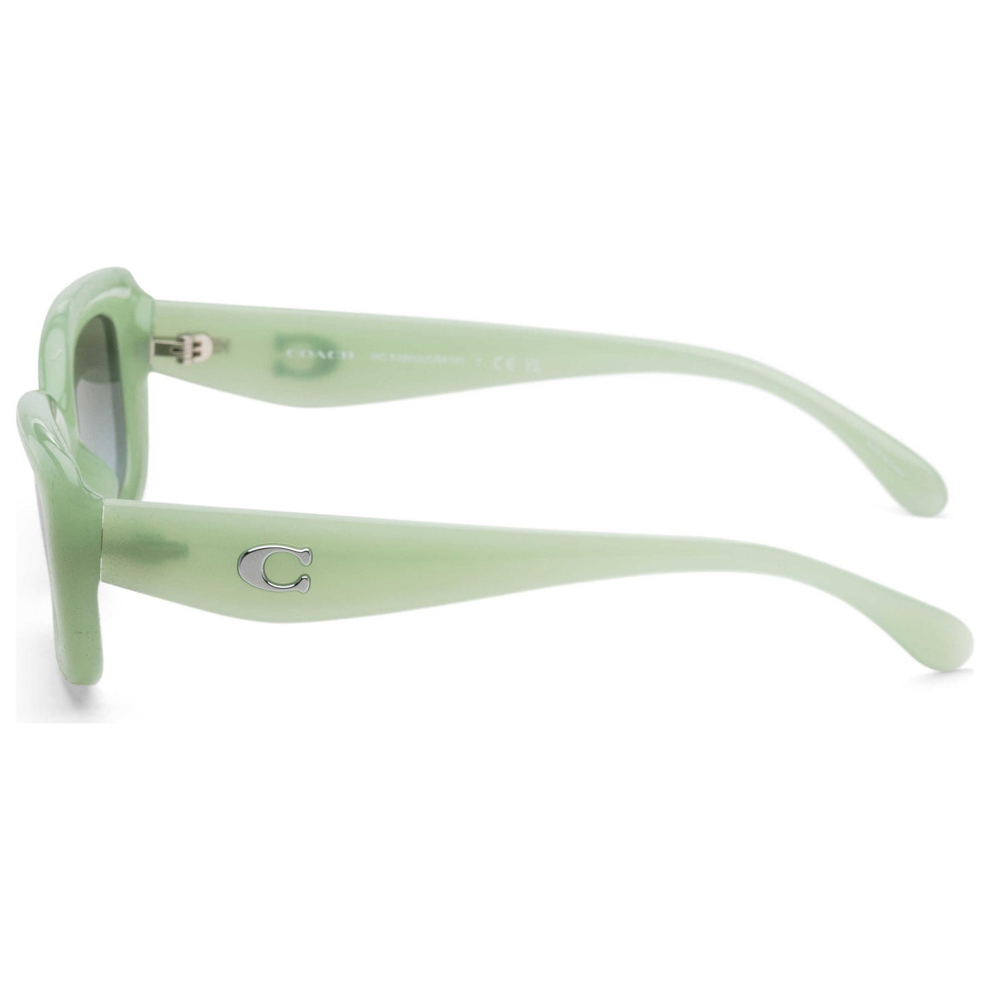 Left view of Coach Women's Sunglasses HC8390U-5807I7-51