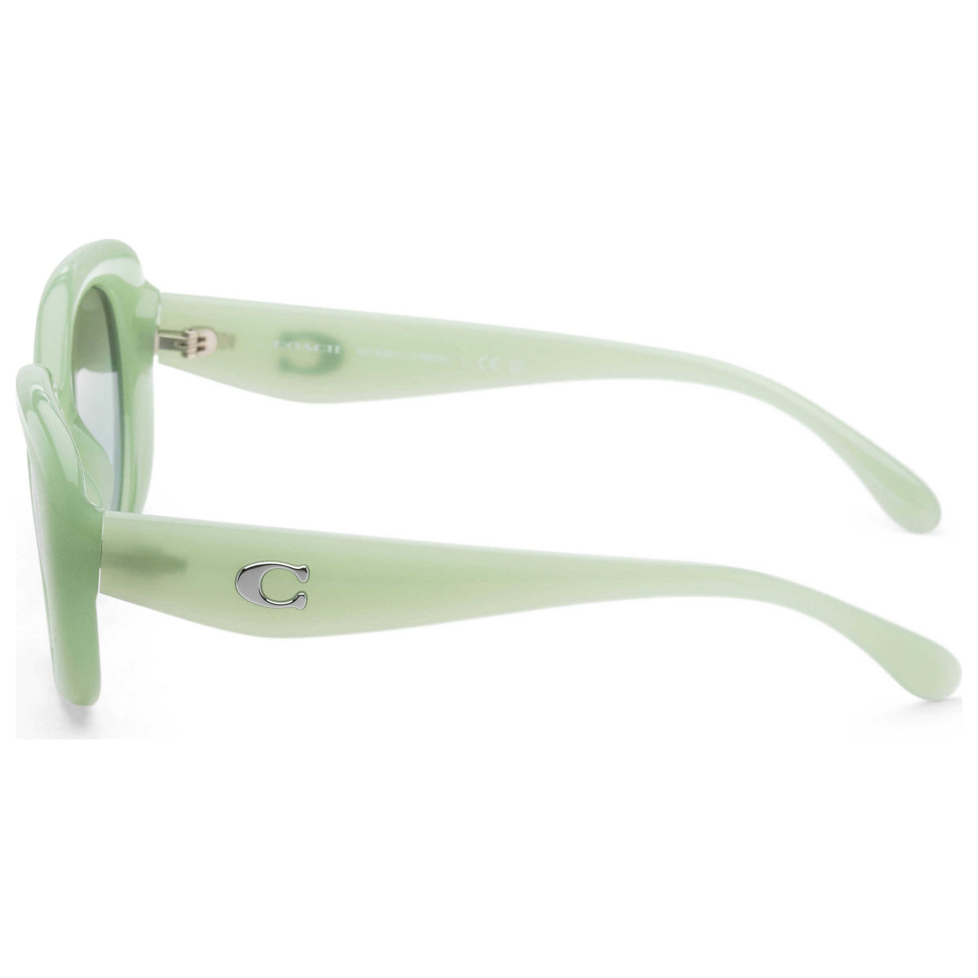 Left view of Coach Fashion Women's Sunglasses HC8391U-5807I7-53