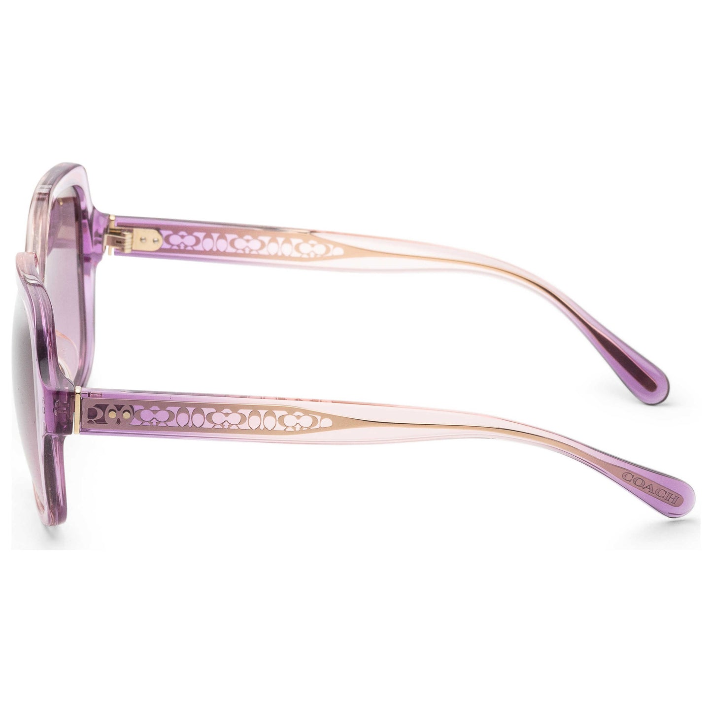 Left view of Coach Fashion Women's Sunglasses HC8395U-581390-54