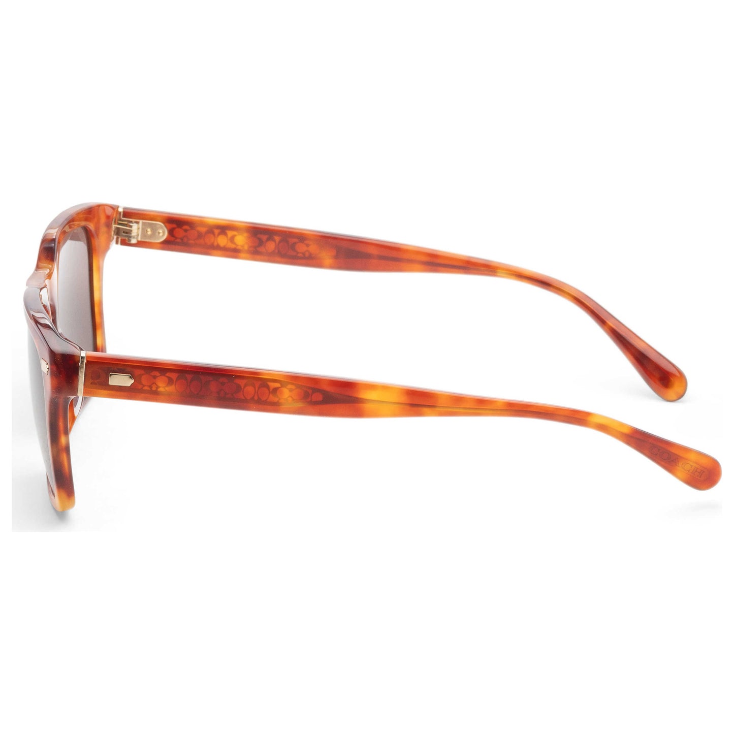 Left view of Coach Fashion Men's Sunglasses HC8397U-577473-57