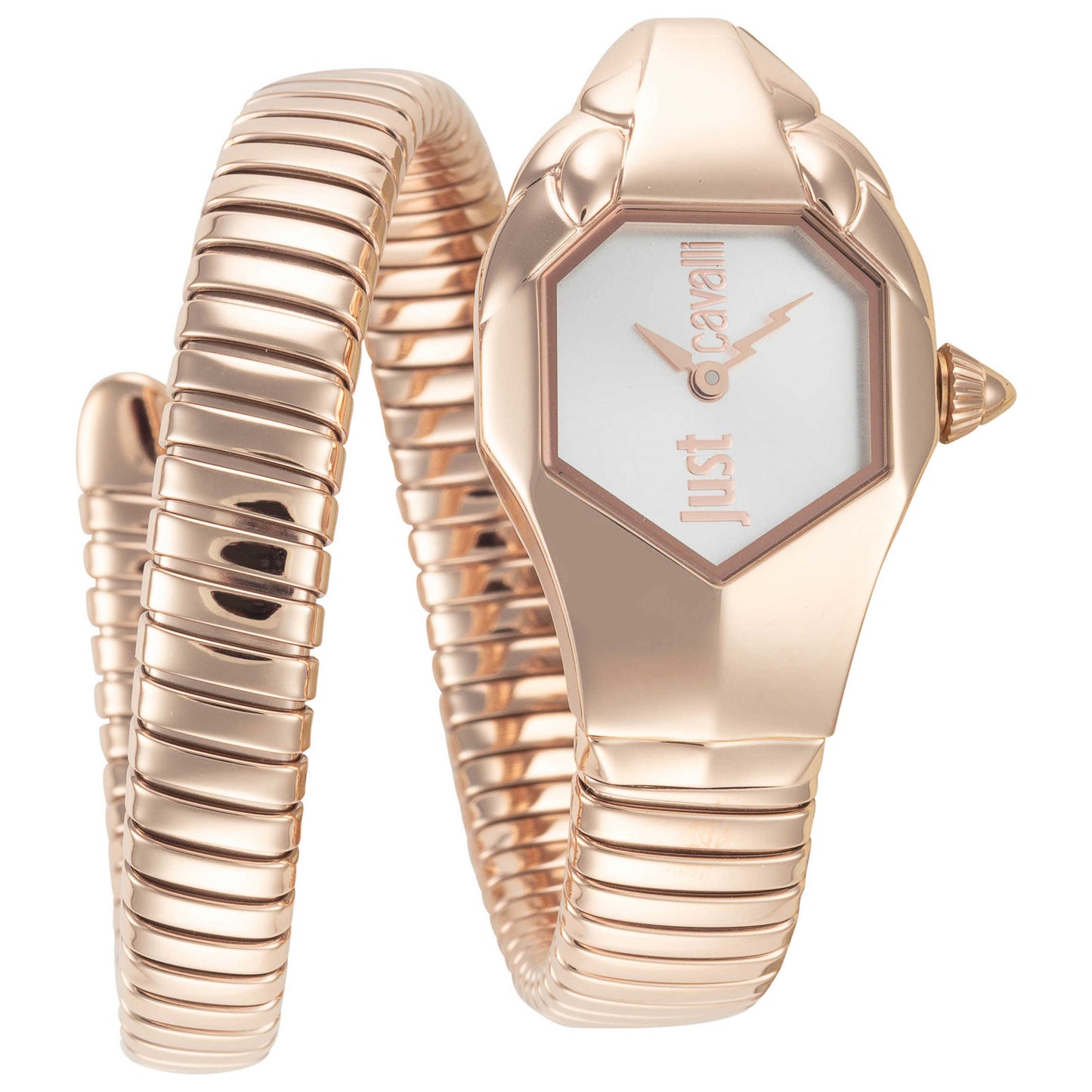 Front view of Just Cavalli Signature Snake Women's Quartz Watch JC1L001M0065