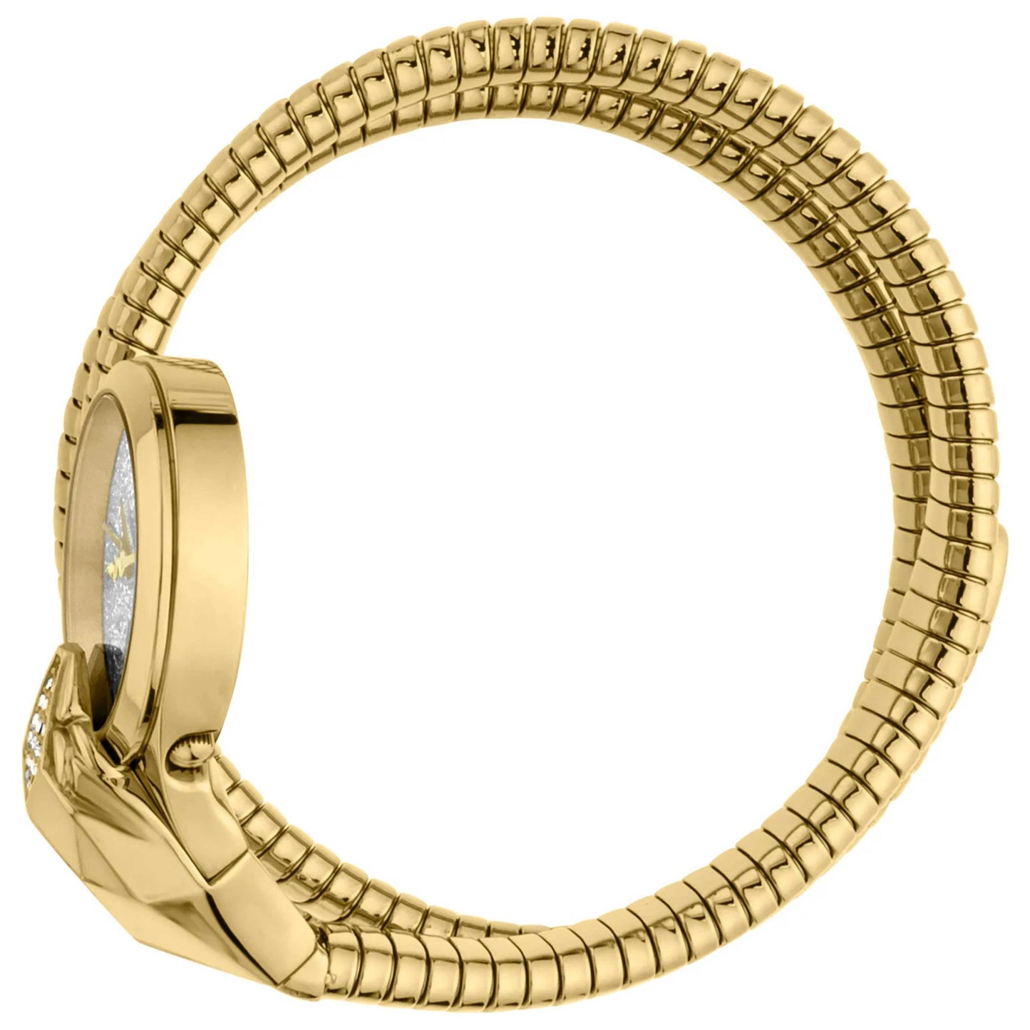 Just Cavalli Signature Snake Women's Quartz Watch JC1L114M0035 - Image #4