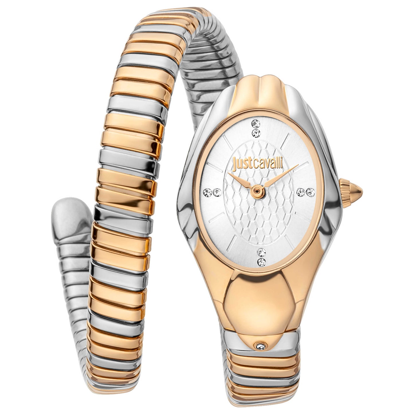 Front view of Just Cavalli Women's Quartz Watch JC1L182M0035