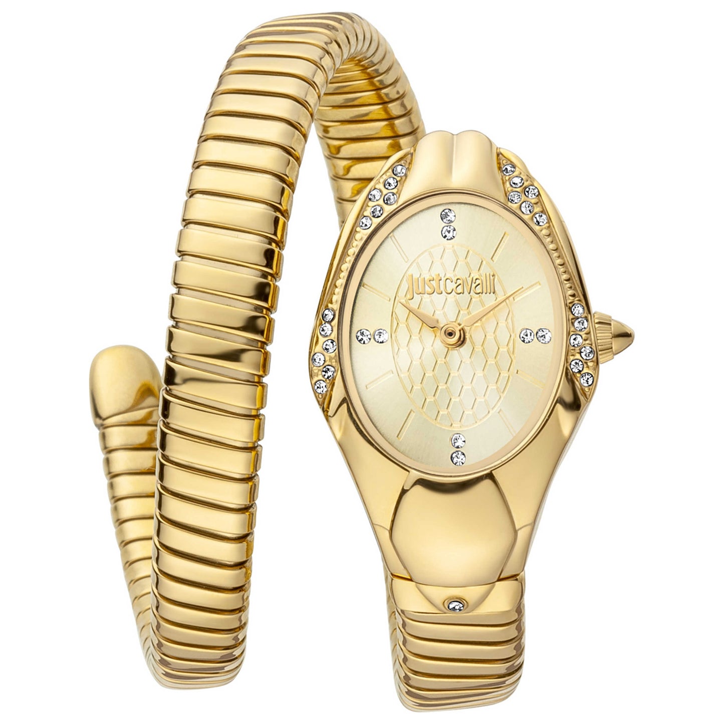 Front view of Just Cavalli Women's Quartz Watch JC1L183M0025