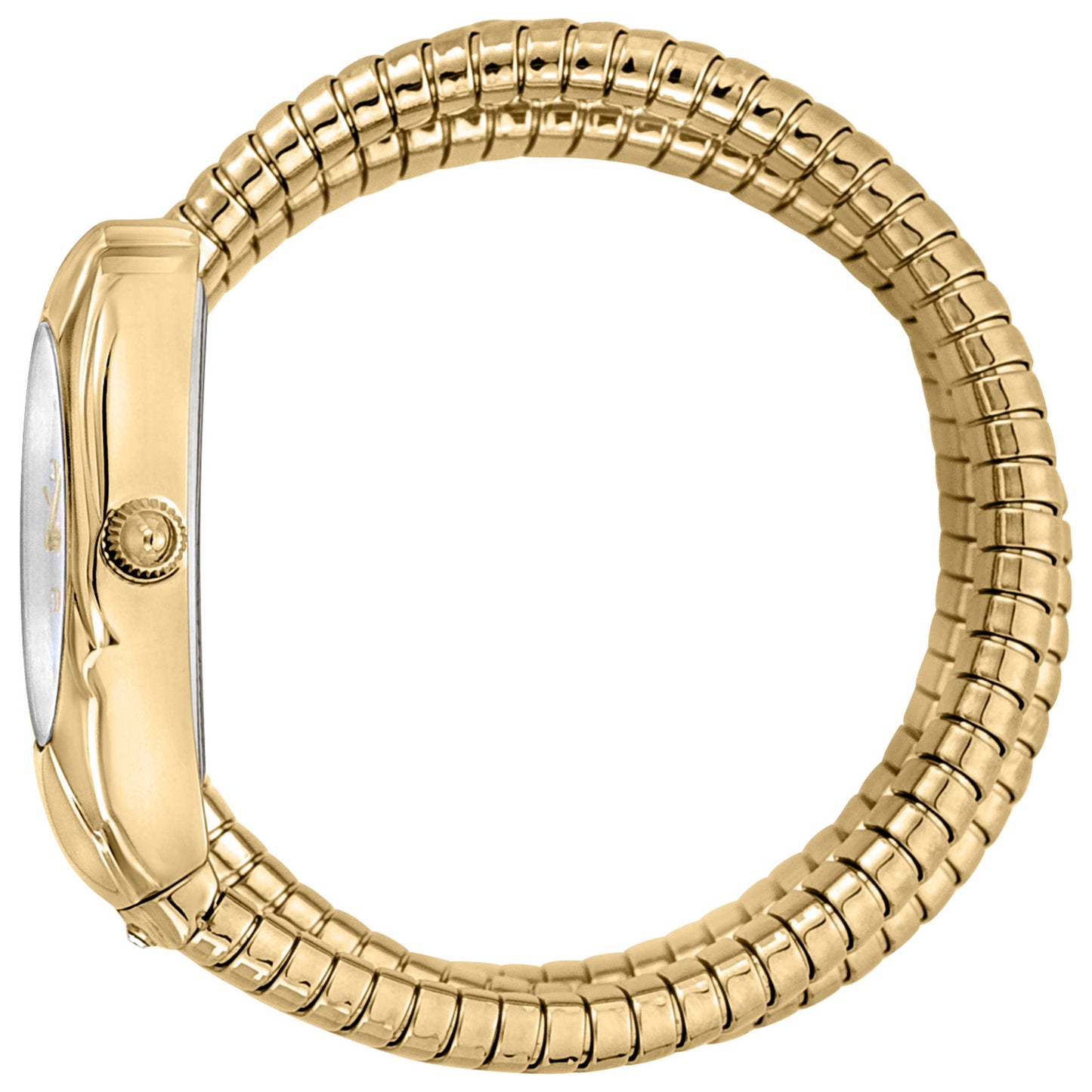 Just Cavalli Women's Quartz Watch JC1L185M0015 - Image #4