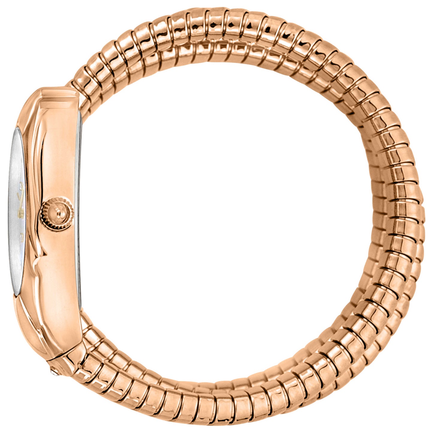 Just Cavalli Women's Quartz Watch JC1L185M0025 - Image #4