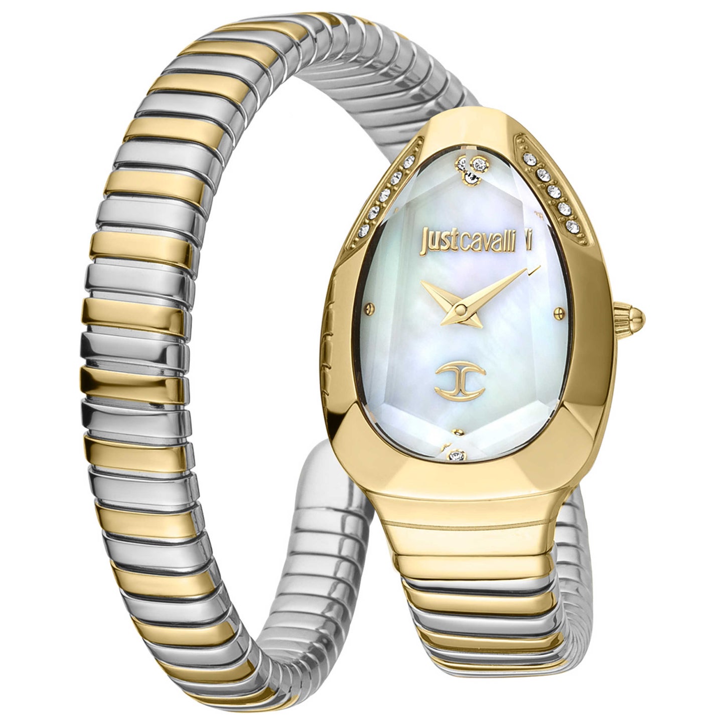Front view of Just Cavalli Signature Snake Metallica Women's Quartz Watch JC1L208M0065