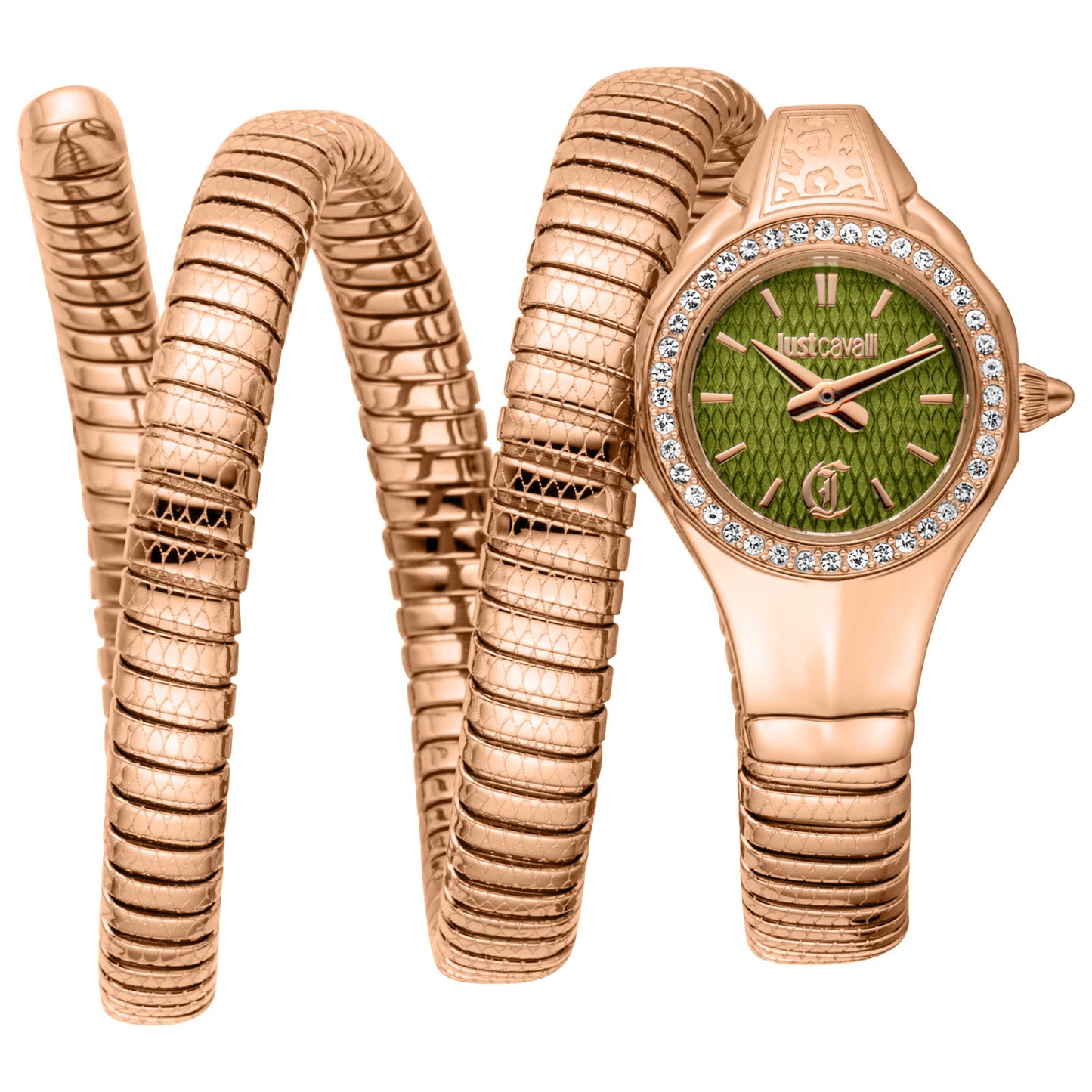 Front view of Just Cavalli Vita Women's Quartz Watch JC1L355M0045