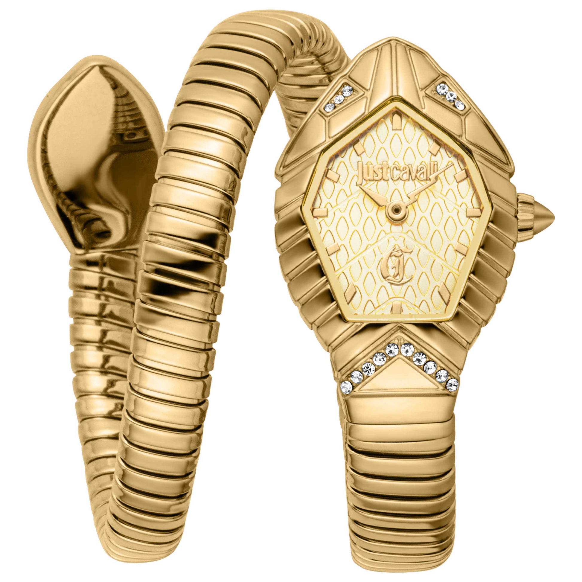 Front view of Just Cavalli Speranza Women's Quartz Watch JC1L356M0025