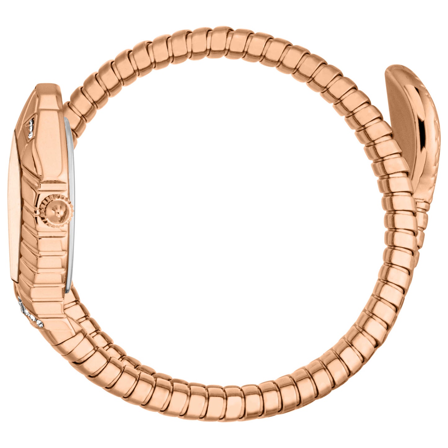 Just Cavalli Speranza Women's Quartz Watch JC1L356M0045 - Image #4