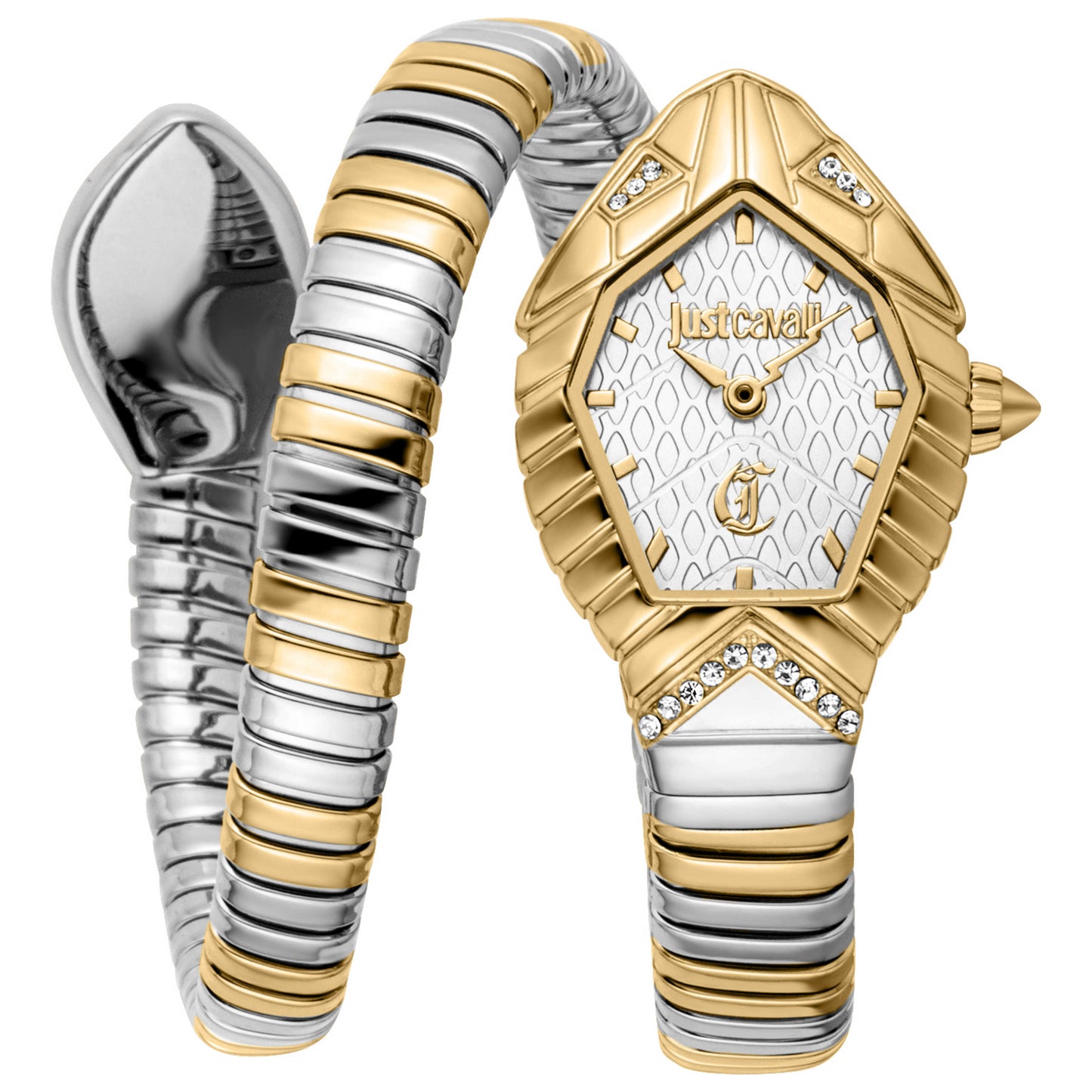 Front view of Just Cavalli Speranza Women's Quartz Watch JC1L356M0055