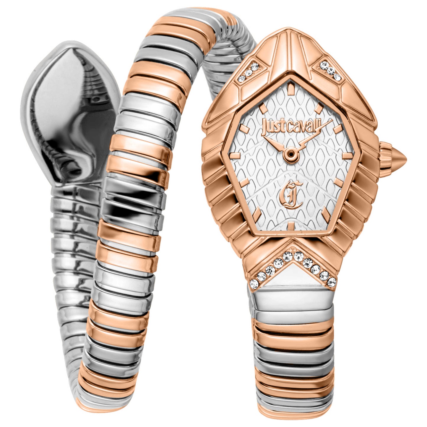 Front view of Just Cavalli Speranza Women's Quartz Watch JC1L356M0065