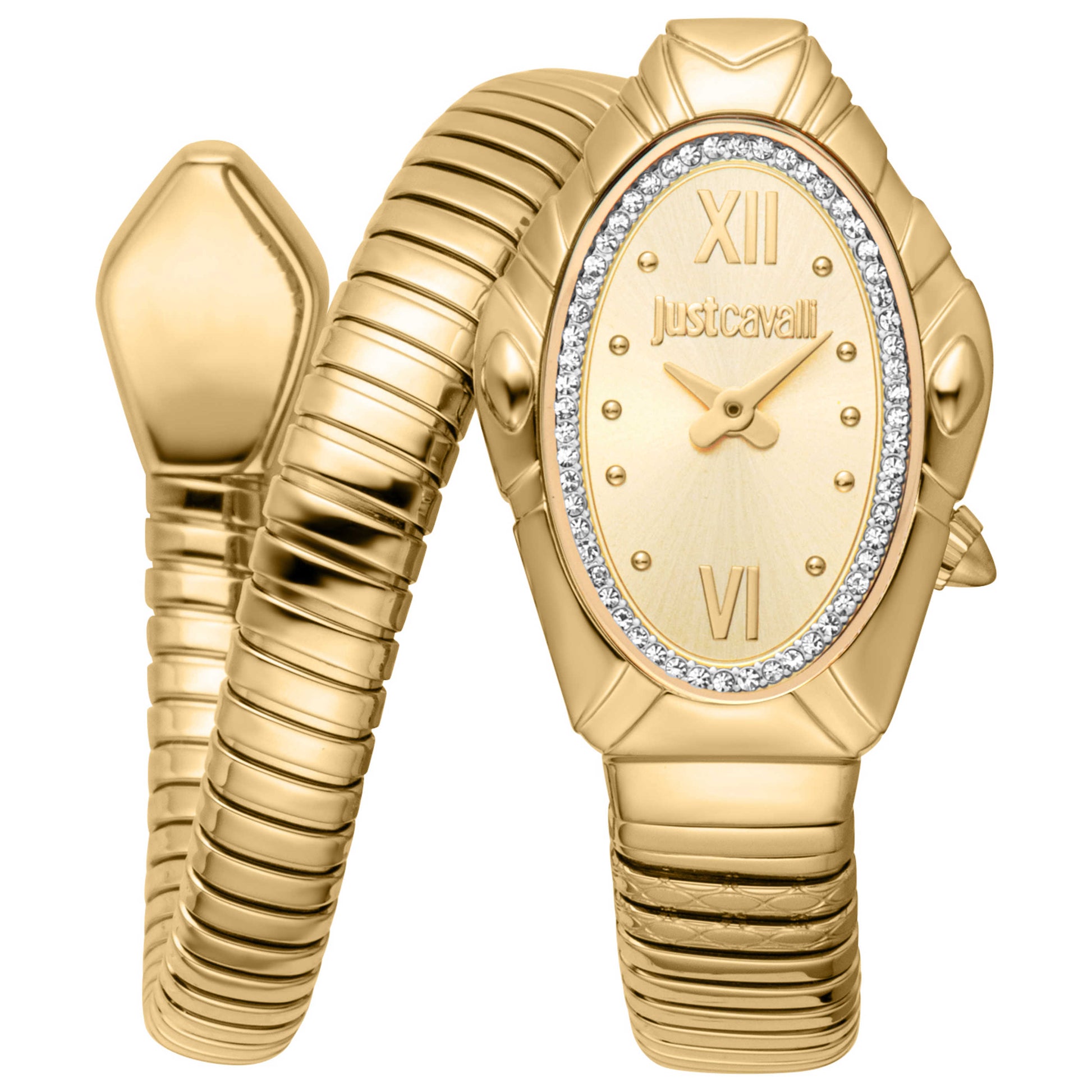 Front view of Just Cavalli Lirica Women's Quartz Watch JC1L357M0025