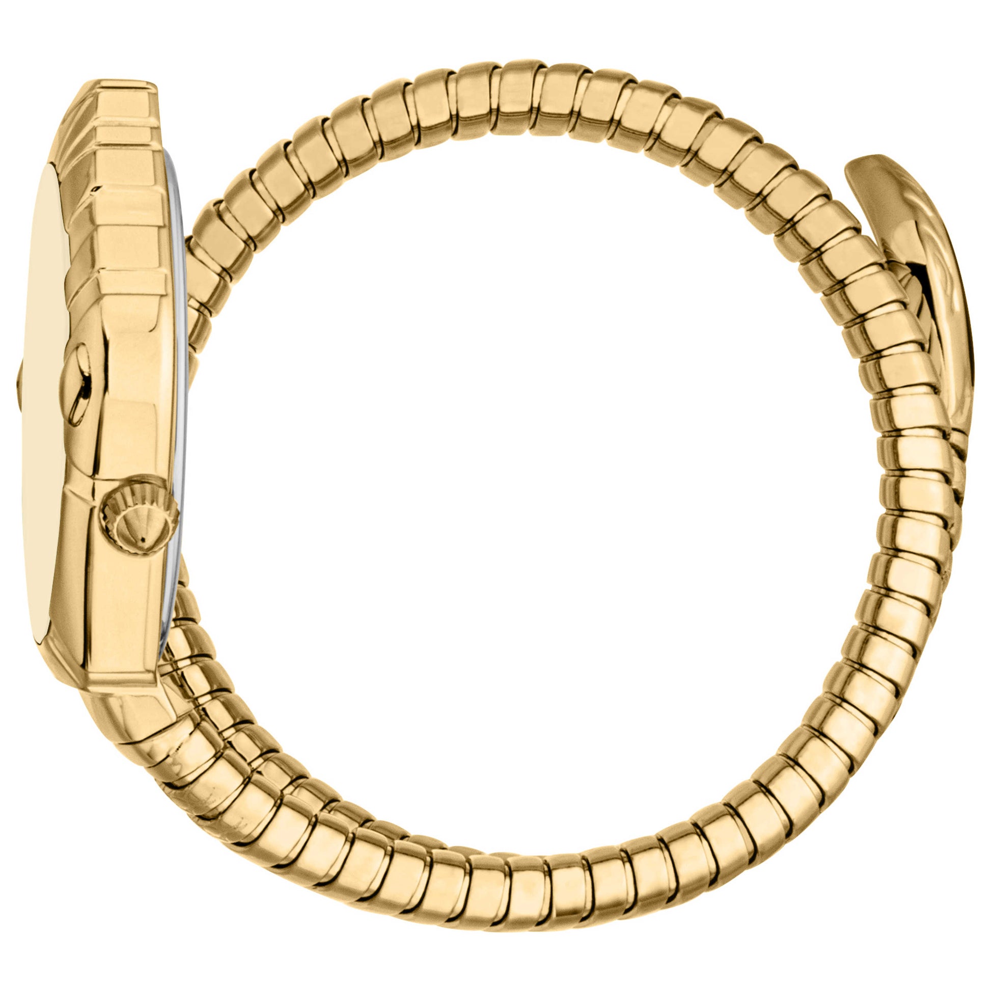 Just Cavalli Lirica Women's Quartz Watch JC1L357M0025 - Image #4