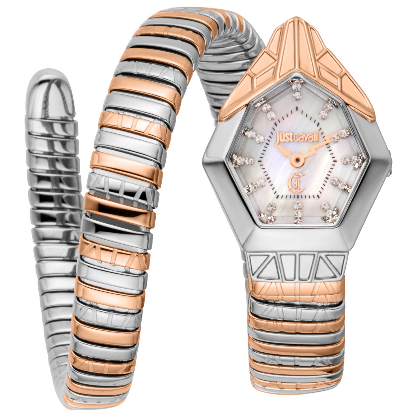Front view of Just Cavalli Gemma Women's Quartz Watch JC1L358M0085